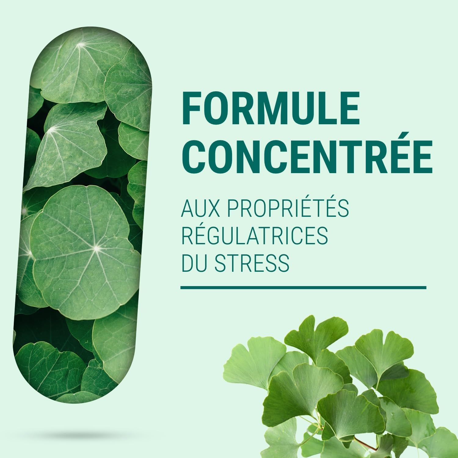 Naturathéra MARINE MAGNESIUM - No Laxative & Addictive Effect - Fatigue, Anxiety & Sleep Supplement - 50 Capsules - Made in France - Vegan - No Additive Allergens GMO - Image 4