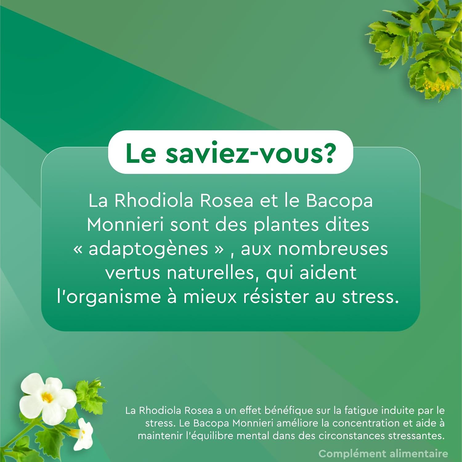 Euphytose Stress Concentration - Dietary Supplement - Bacopa Monnieri - Rhodiola Rosea - Adaptogenic Plants - Stress, Difficulty Concentration - 3 Months - 3 x 30 Tablets - Made in France - Image 14