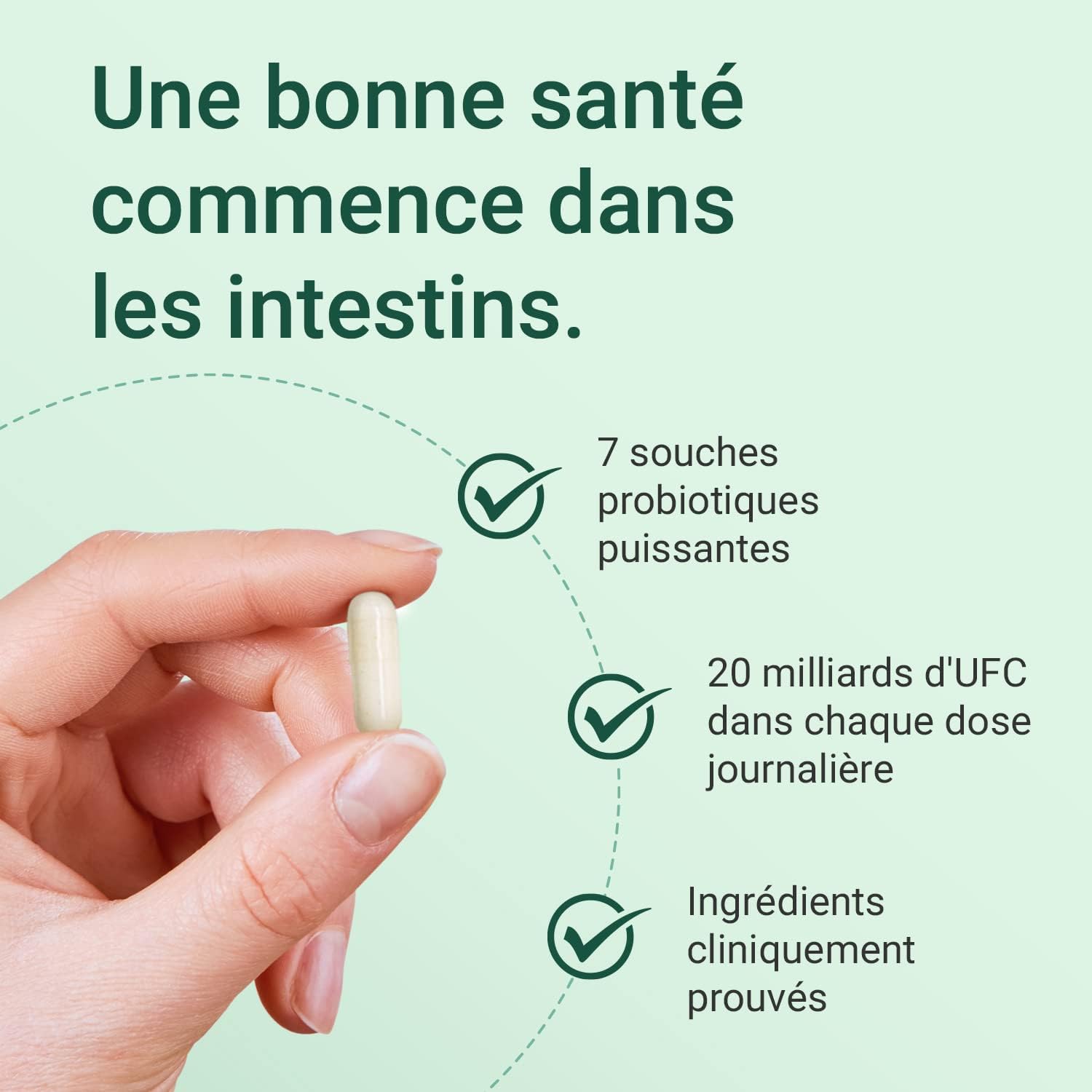 Theonia Probiotic Complex - 7 Powerful Strains with 20 Billion CFU per Daily Dose - Immune System, Digestion and Skin Health - 60 Capsules - Image 6