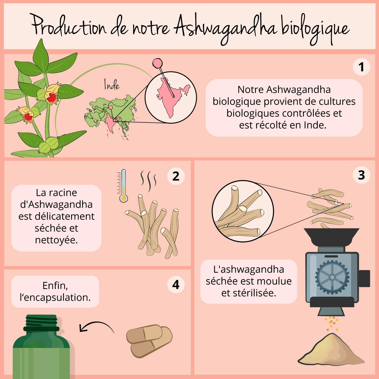 Ashwagandha BIO | Extra Strength: 2010 mg per Serving | 180 Vegan Capsules | Premium Quality: No Additives & Standardized in Withanolides | Vegavero® - Image 5