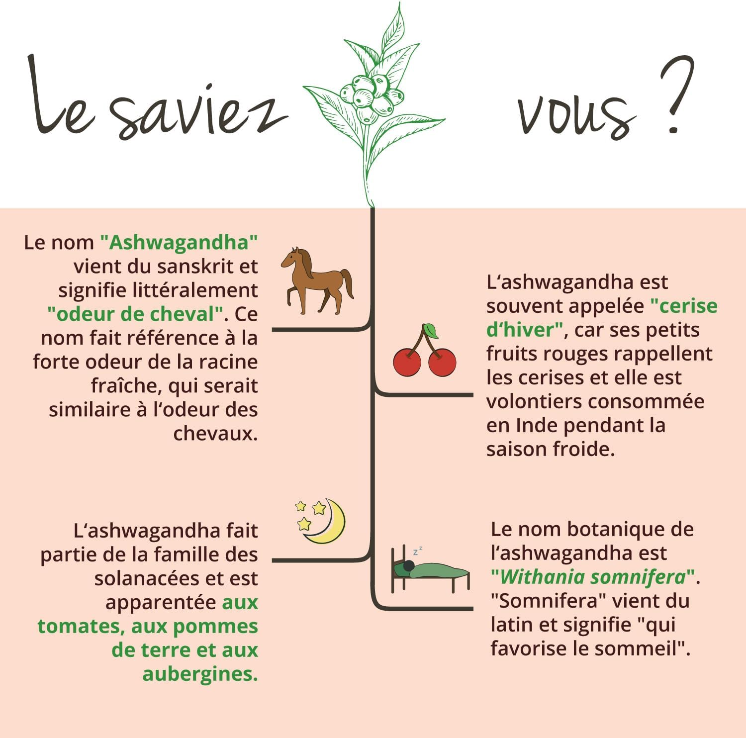 Ashwagandha BIO | Extra Strength: 2010 mg per Serving | 180 Vegan Capsules | Premium Quality: No Additives & Standardized in Withanolides | Vegavero® - Image 7