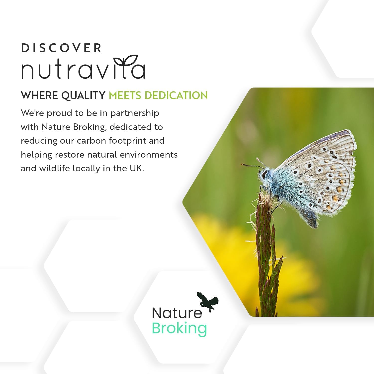 Glucosamine Chondroitin Complex with Vitamin D - MSM + Vitamin C and Manganese - 180 Tablets for 6 Months - Joint Dietary Supplement for Men and Women - MSM Vitamin C - Nutravita - Image 9