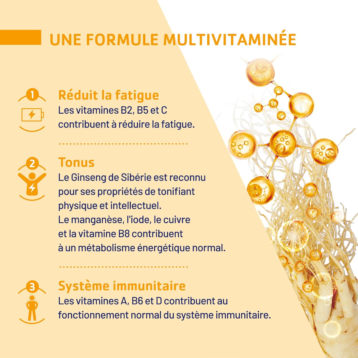 JUVAMINE - Top shape - Vitality - Tonus - 12 Multivitamins & 10 Minerals - Helps reduce fatigue - Supports immunity - 150 tablets - Maxi Format - 5 months - Image 5