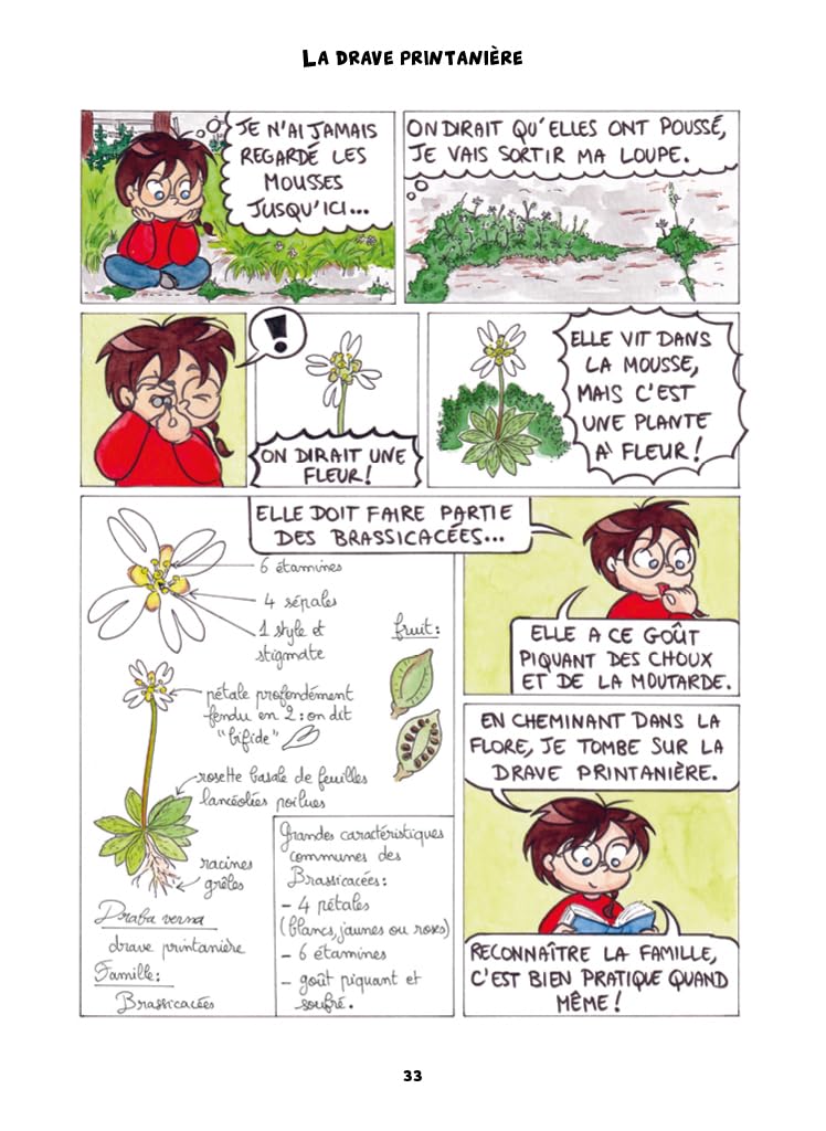 A l'ombre du pissenlit: Chroniques botaniques en pleine herbe - Image 4