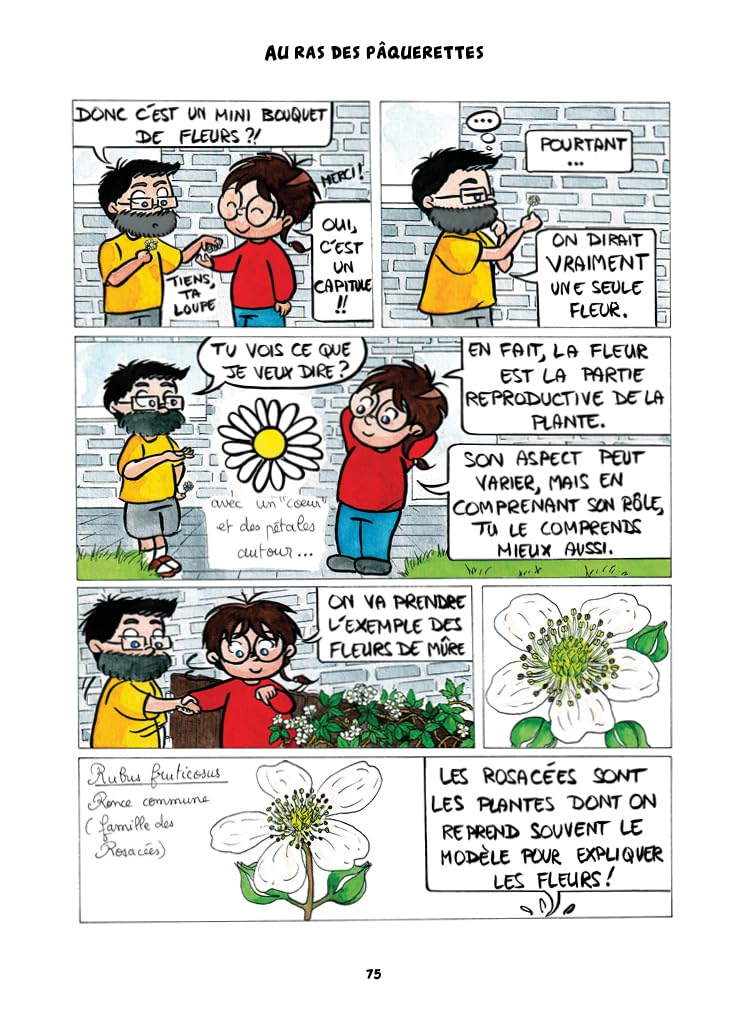 A l'ombre du pissenlit: Chroniques botaniques en pleine herbe - Image 9