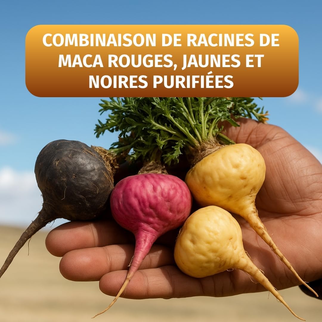 3-in-1 Maca Complex Black-Red-Gold – High Dosage: 112.000 mg Maca Powder (2.800 mg Extract (40:1)) – Stock for 2 Months – Vegan & Lab Tested – Green Natural - Image 4