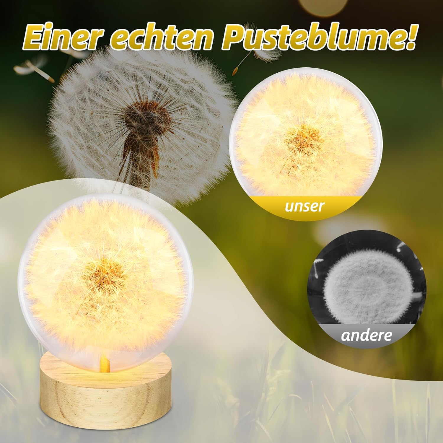 Dandelion Crystal Ball Night Light, 2.75 Inch Wooden Base Night Light Home Decor with USB Power Gift for Men Women Kids Boys Girls Teens (Dandelion) - Image 5