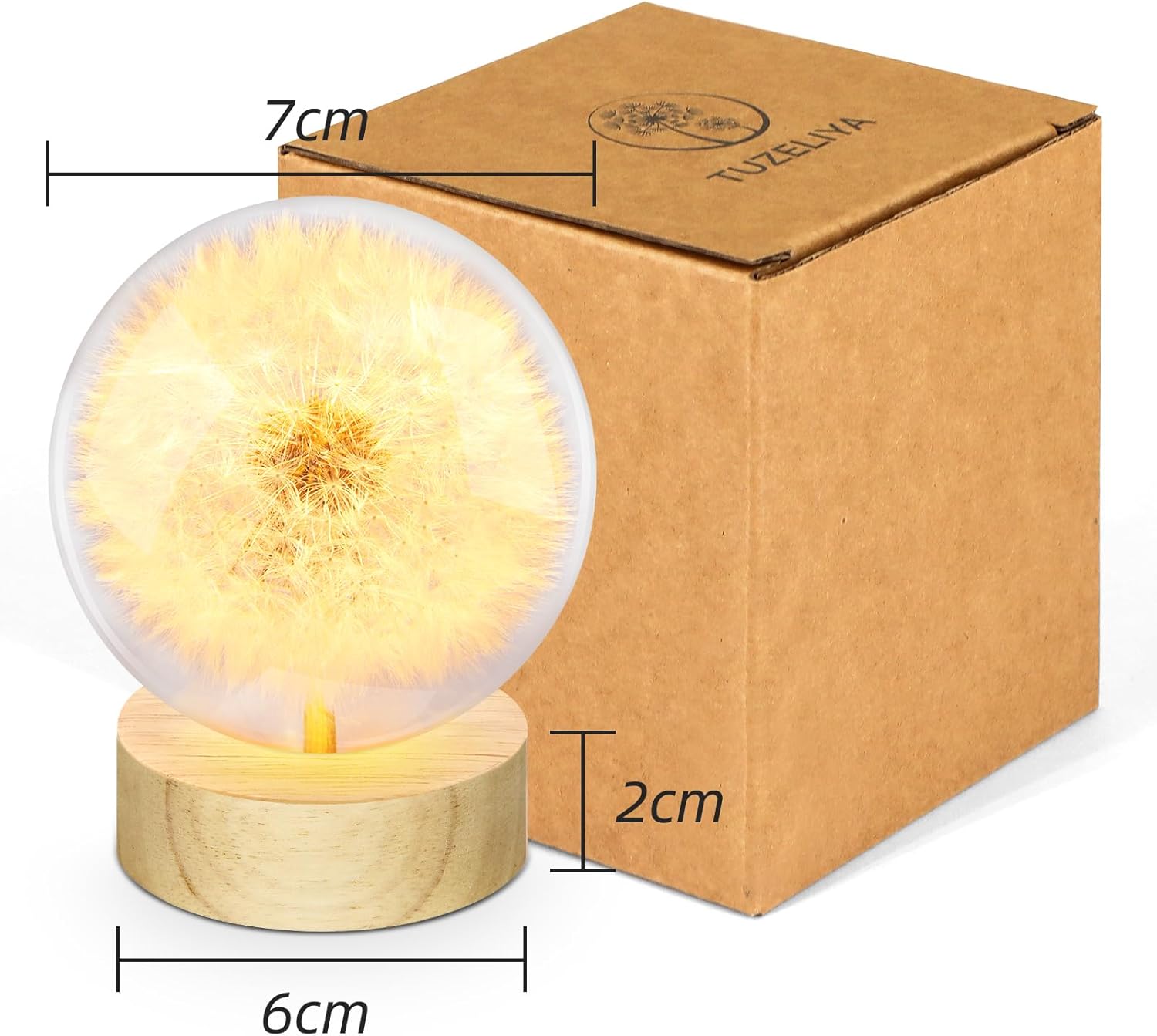 Dandelion Crystal Ball Night Light, 2.75 Inch Wooden Base Night Light Home Decor with USB Power Gift for Men Women Kids Boys Girls Teens (Dandelion) - Image 10