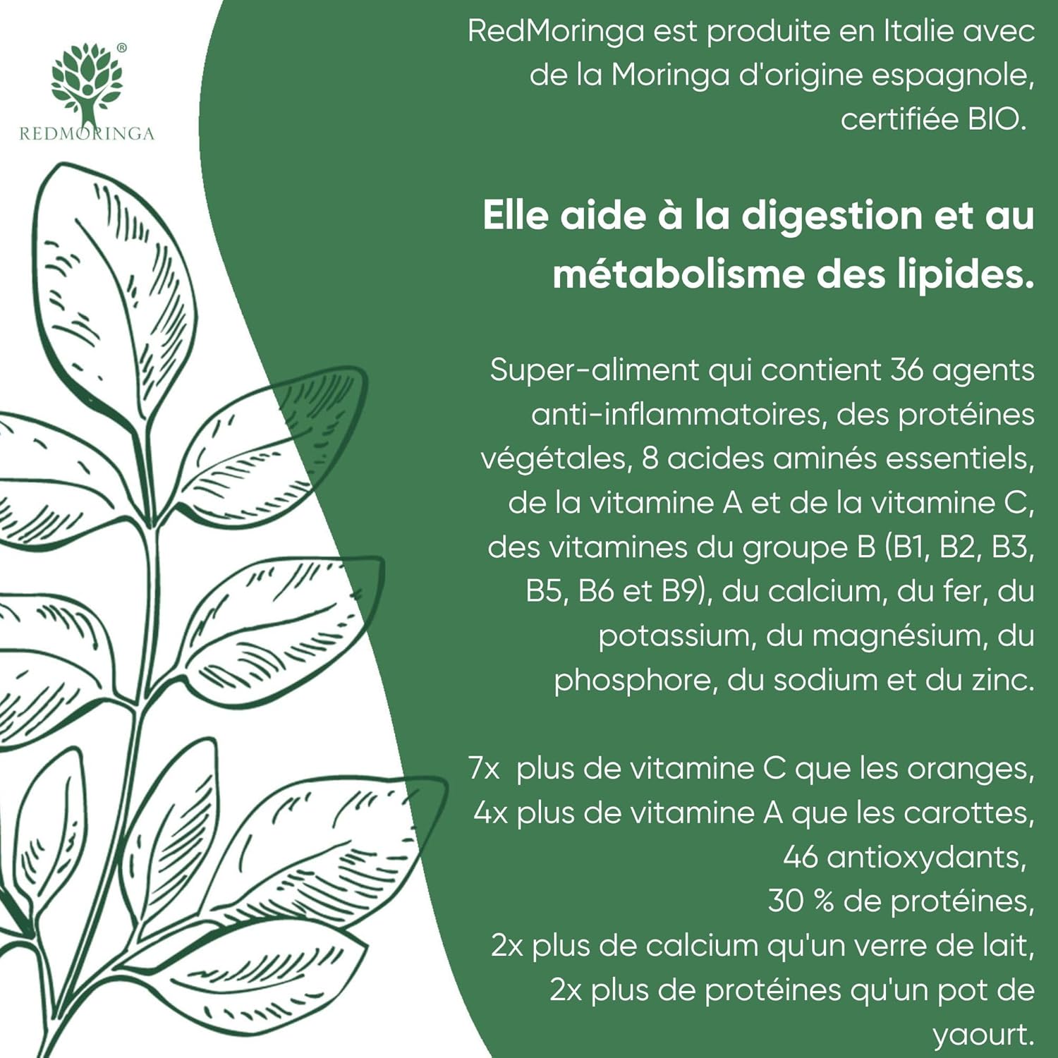 RedMoringa Moringa Oleifera Organic Powder – Plant Protein 30% – Source ...