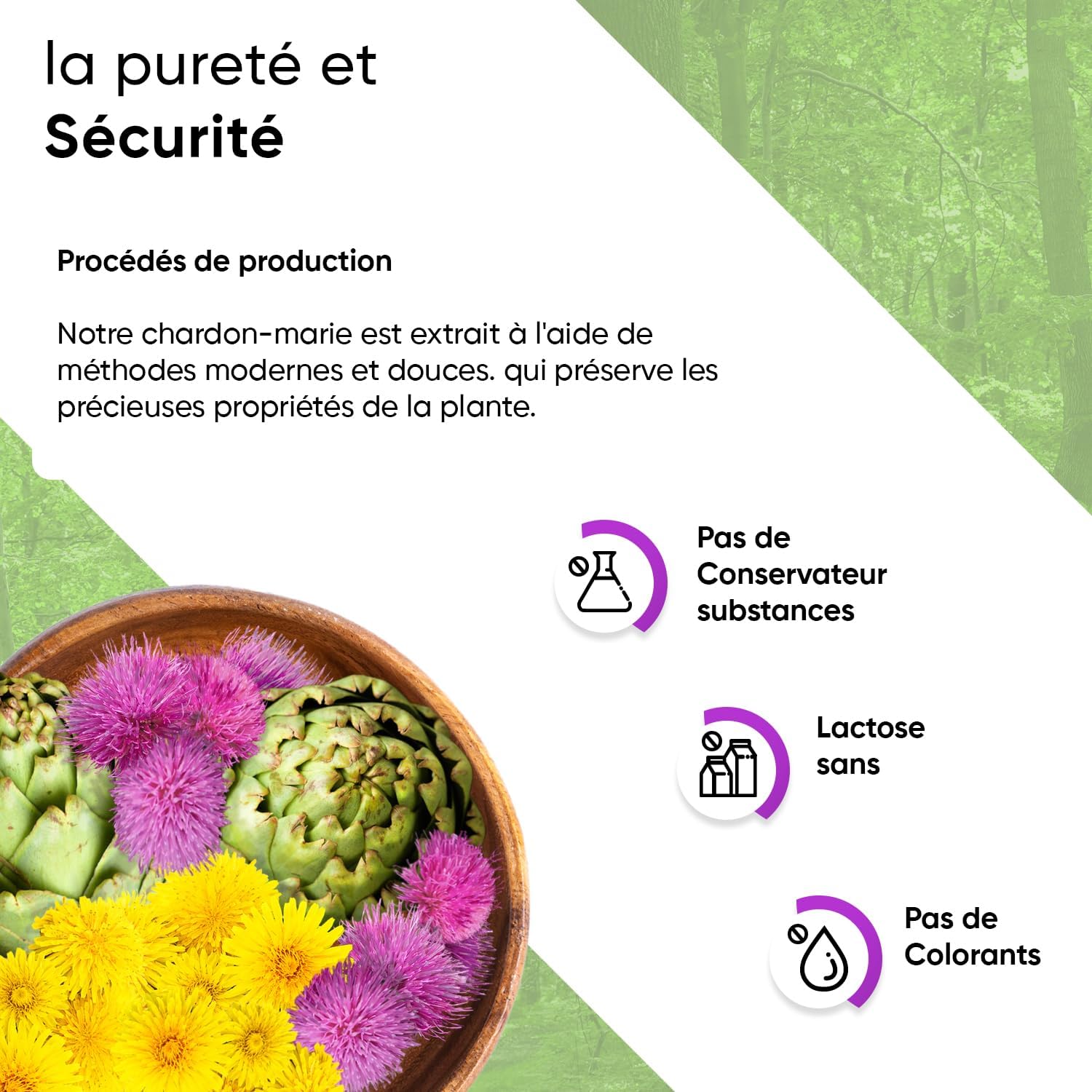 Milk Thistle Extract Complex - Artichoke Dandelion - 80% Silymarin - 240 Capsules - 8 Months - 550mg Per Capsule - With Pill Box - Vegan - Premium Quality - Image 6