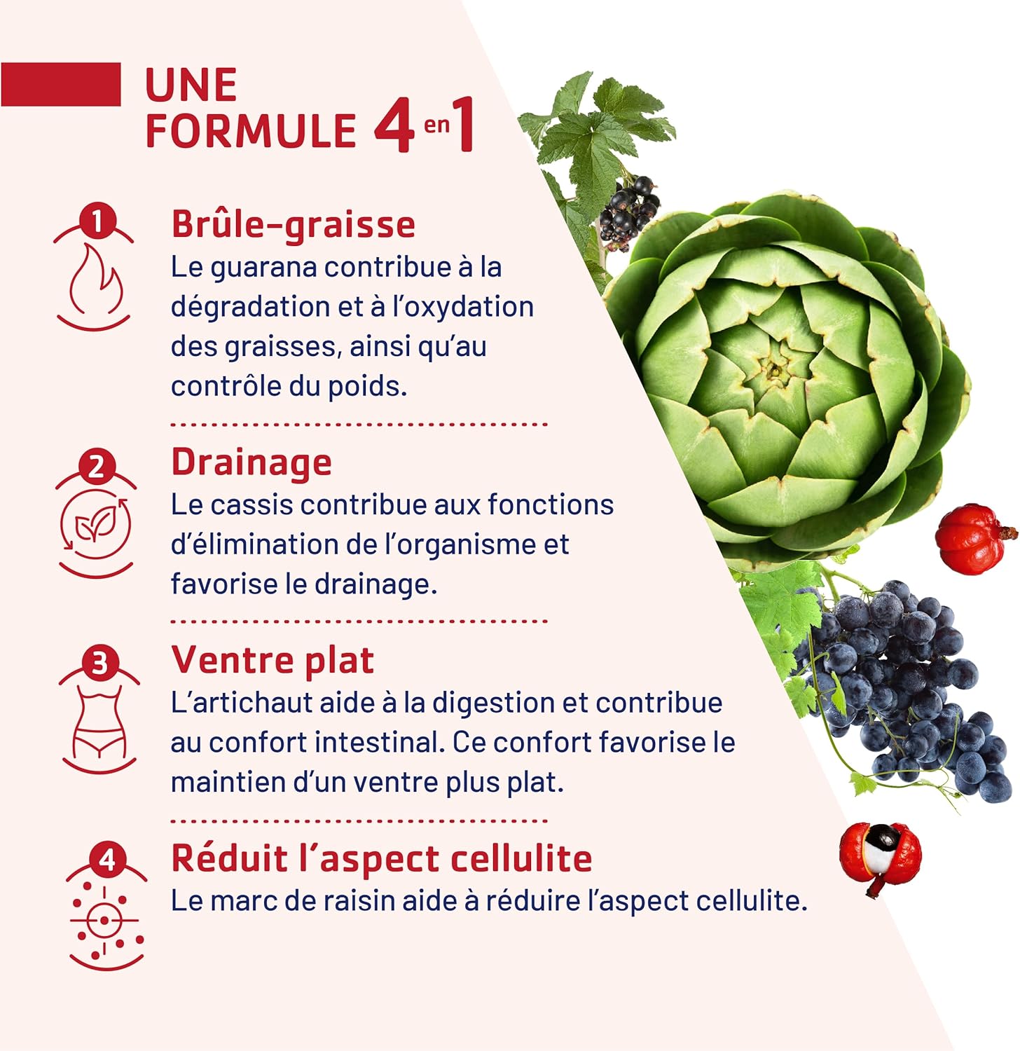 JUVAMINE - Expert Fat Burning Day and Night - Helps burn fat, eliminate toxins, reduce cellulite appearance and detoxify the liver - 2 x 30 tablets - Made in France - Image 6