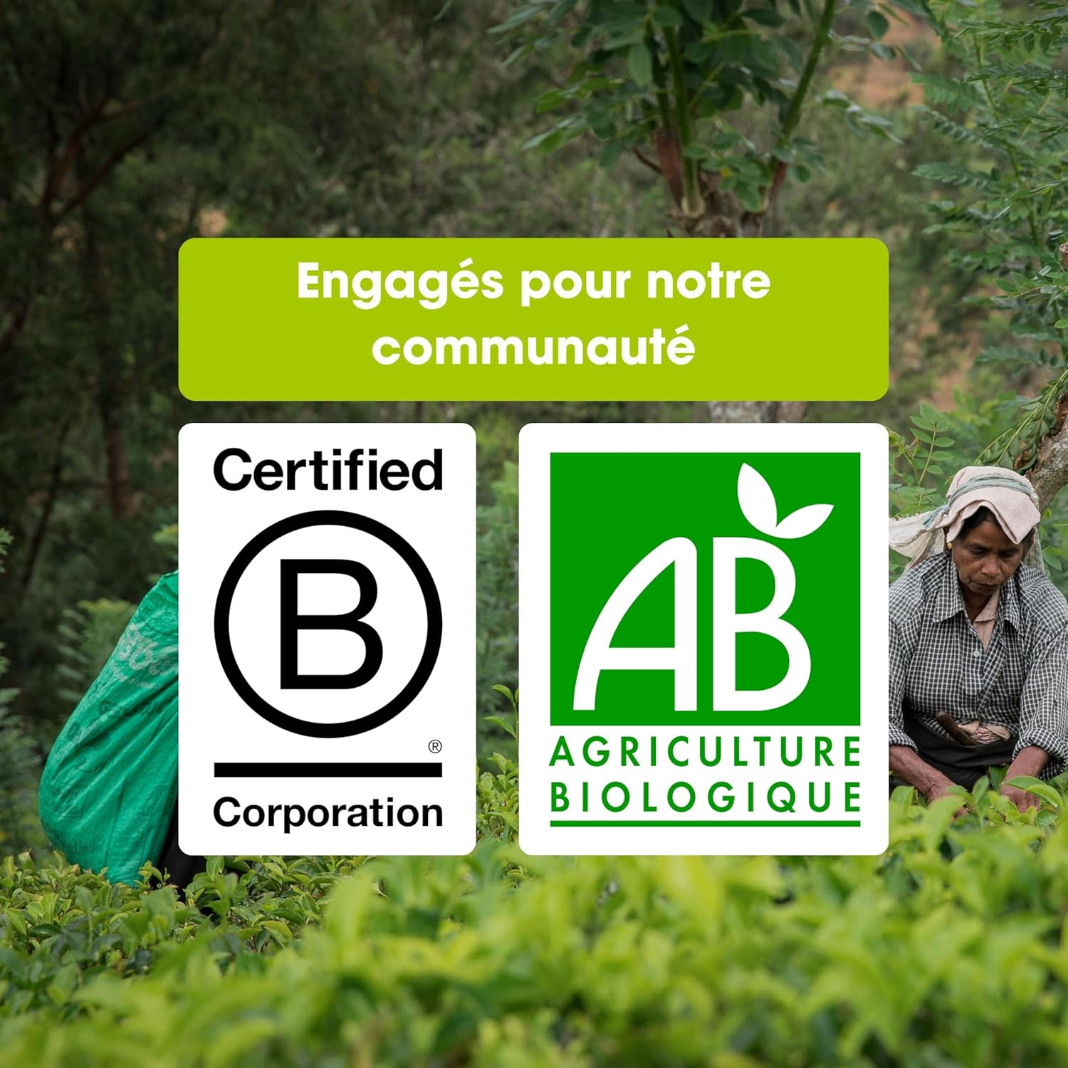 Organic Chamomile Infusion Lavender English Tea Shop - 20 Sachets - 30 g - Image 7