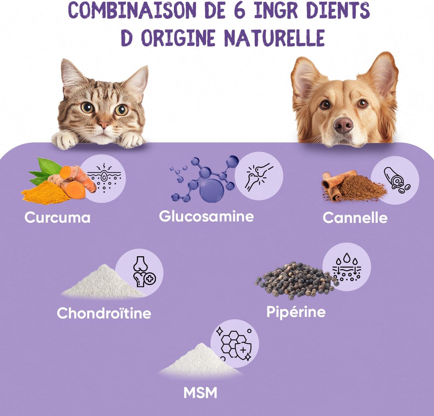 Dog Joint 120 Treats for Dogs and Cats with Glucosamine Chondroitin MSM Hyaluronic Acid and Turmeric Hip and Joint Complex, All Sizes and Breeds, Bone Shape - Image 3