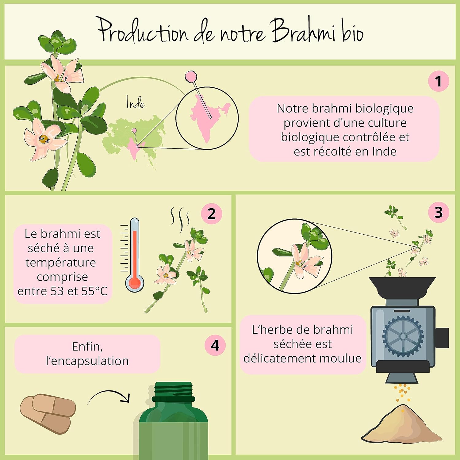 Bacopa Monnieri Organic Vegavero | 180 Tablets | Nootropic: Memory + Focus | Unique: Brahmi BIOLOGICAL With Bacosides | Vegan - Image 6