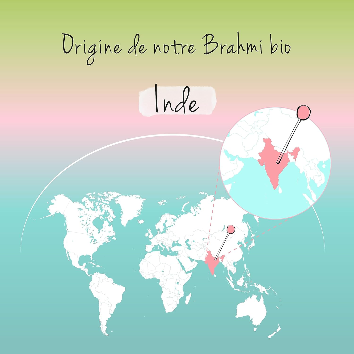 Bacopa Monnieri Organic Vegavero | 180 Tablets | Nootropic: Memory + Focus | Unique: Brahmi BIOLOGICAL With Bacosides | Vegan - Image 7