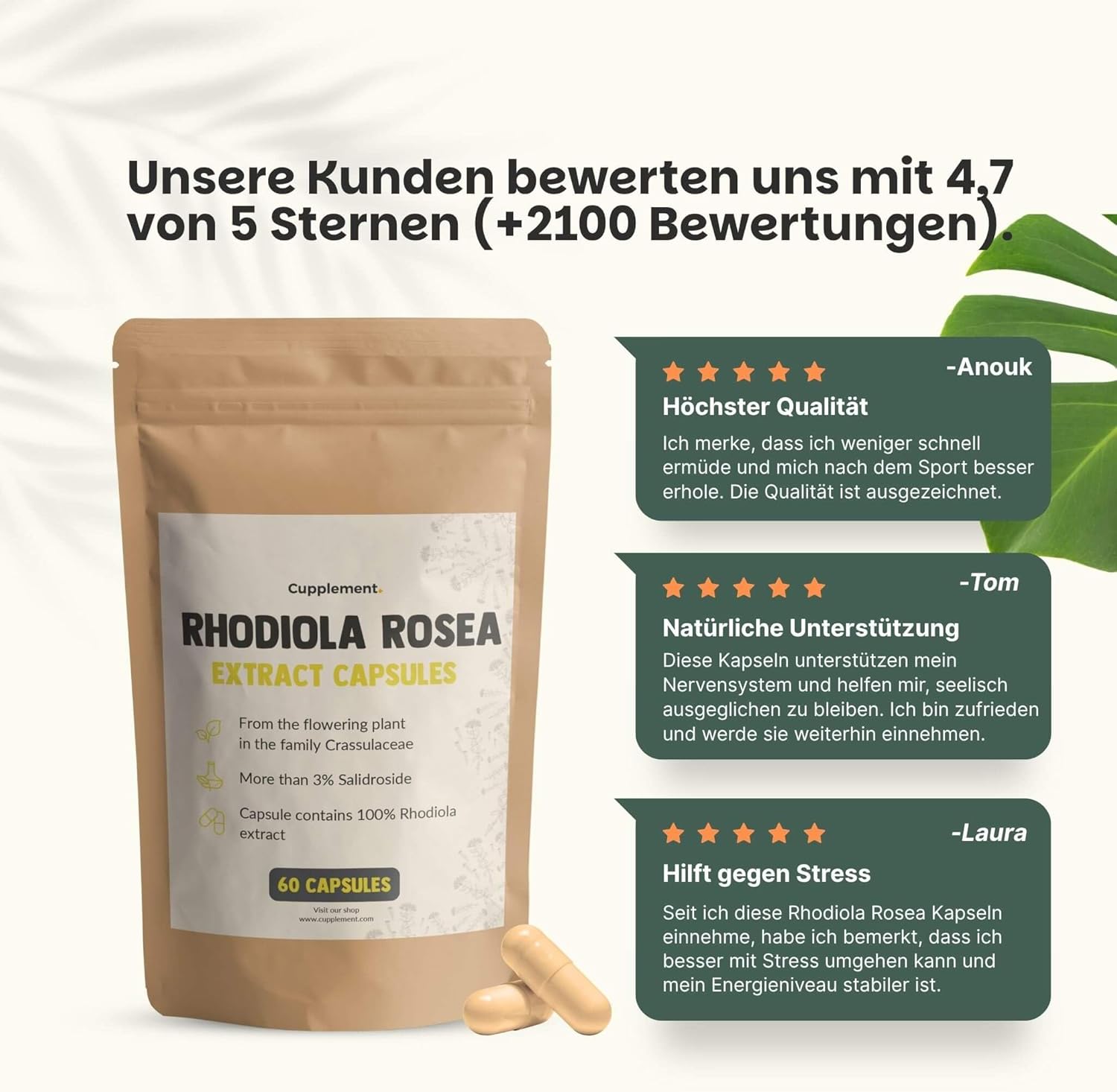 Rhodiola Rosea Capsules 60 Pcs 3% Extract 500 MG per Capsule - No Powder - Supplement - Superfood - Nootropics - 3% Rosavins - Adaptogenic - Natural - Vegan - Roseroot - Image 7