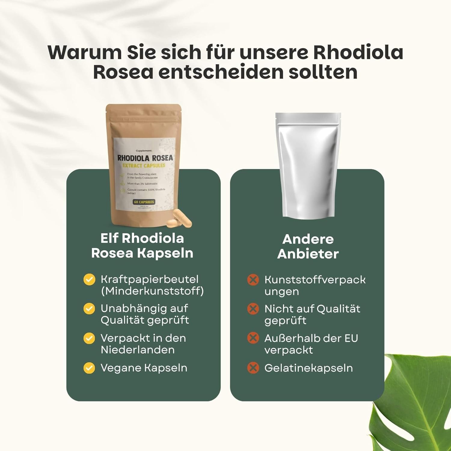 Rhodiola Rosea Capsules 60 Pcs 3% Extract 500 MG per Capsule - No Powder - Supplement - Superfood - Nootropics - 3% Rosavins - Adaptogenic - Natural - Vegan - Roseroot - Image 8