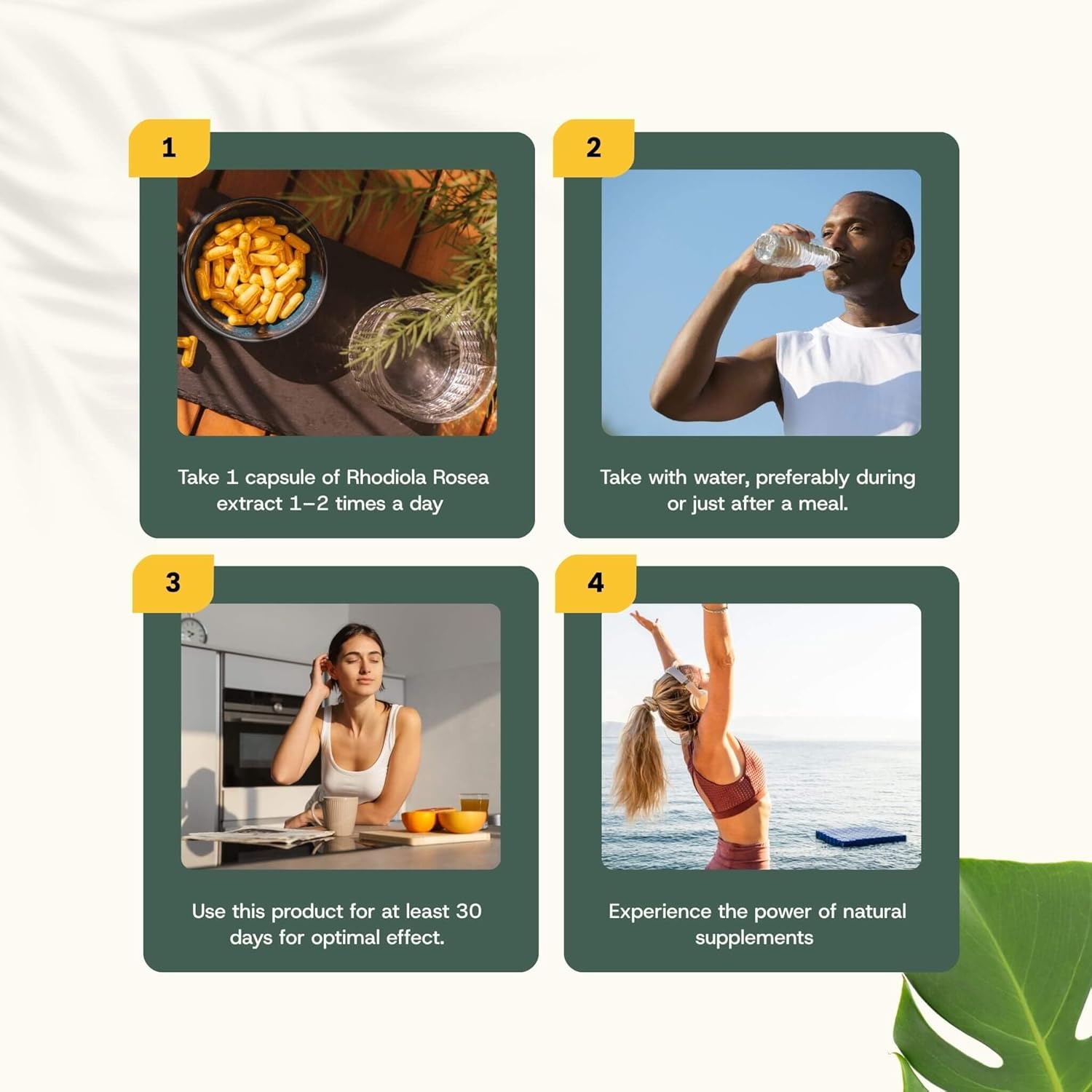 Rhodiola Rosea Capsules 60 Pcs 3% Extract 500 MG per Capsule - No Powder - Supplement - Superfood - Nootropics - 3% Rosavins - Adaptogenic - Natural - Vegan - Roseroot - Image 10