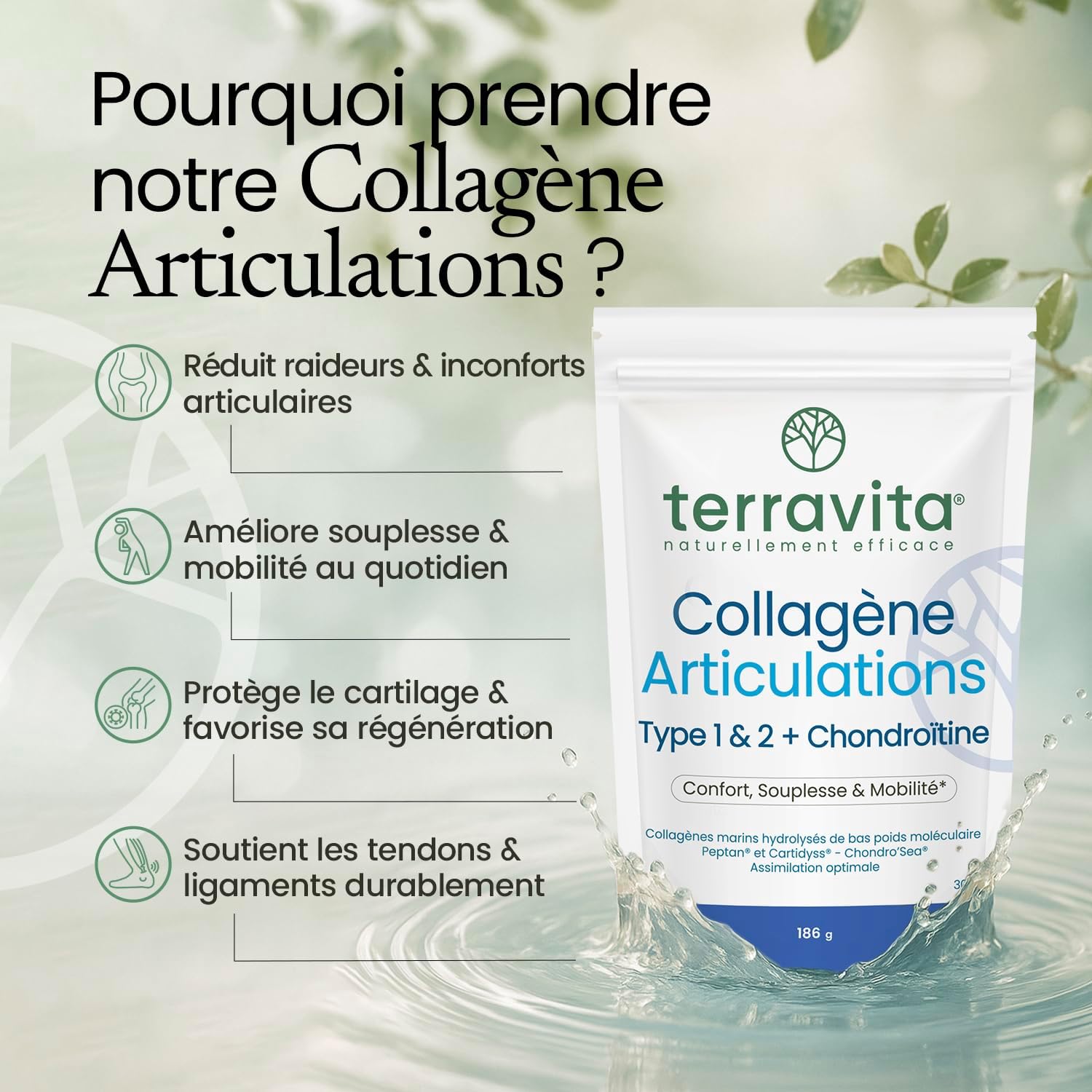Collagen Joints Powder | Peptan & Cartidyss Marine Collagen Peptides Types 1 and 2 + Chondro'Sea Chondroitin + Vitamin C | 30 Days of Cure | Made in France | Terravita - Image 3