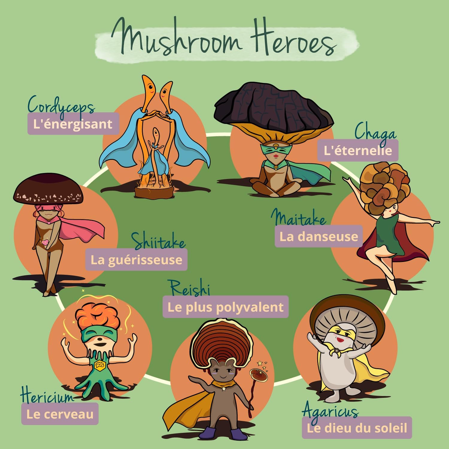 Maitake BIO Vegavero | High Dosage: 7500 mg | Standardized Extract to 50% Polysaccharides | Natural Antioxidant + Anti Stress | No Additives | 60 Capsules | Vegan - Image 3