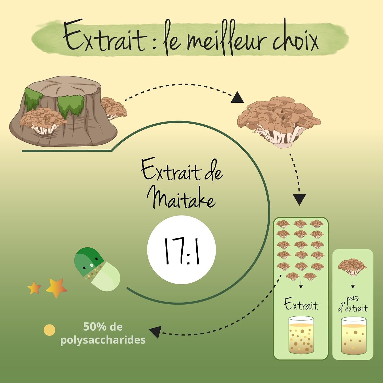 Maitake BIO Vegavero | High Dosage: 7500 mg | Standardized Extract to 50% Polysaccharides | Natural Antioxidant + Anti Stress | No Additives | 60 Capsules | Vegan - Image 7