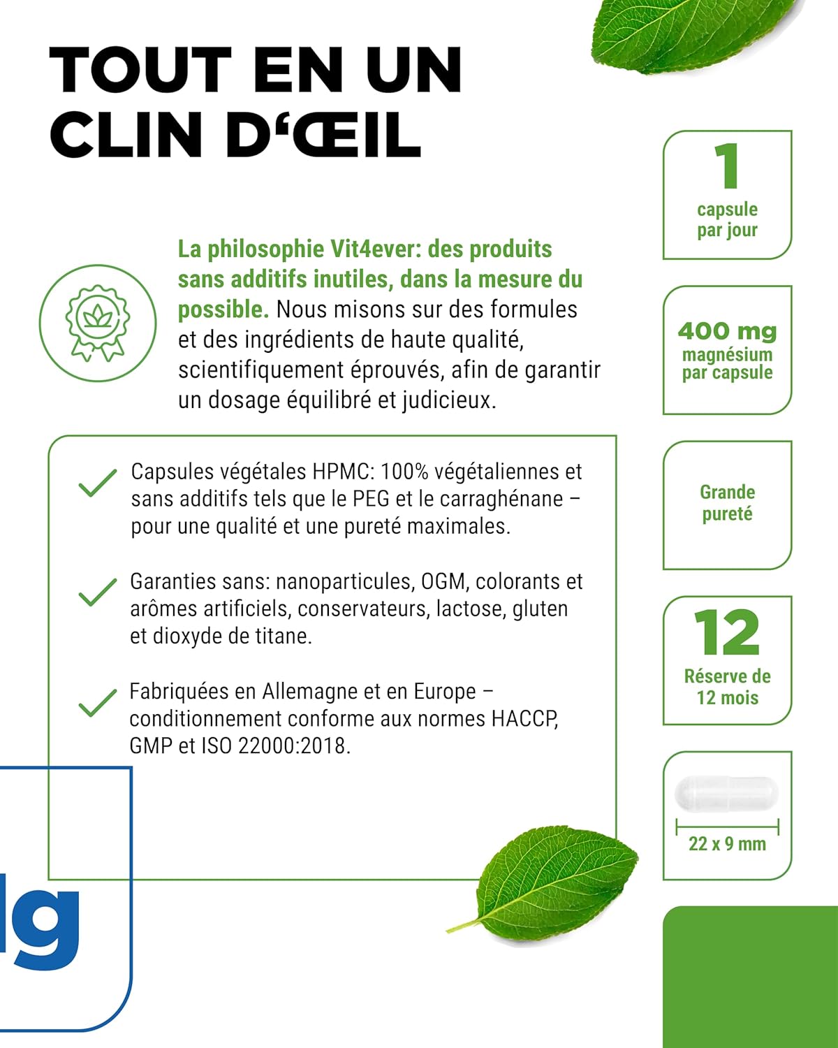 High dose magnesium - 365 capsules (annual reserve) - 667 mg of which 400 mg of elemental magnesium per daily dose based on magnesium oxide - without unnecessary additives - Image 5