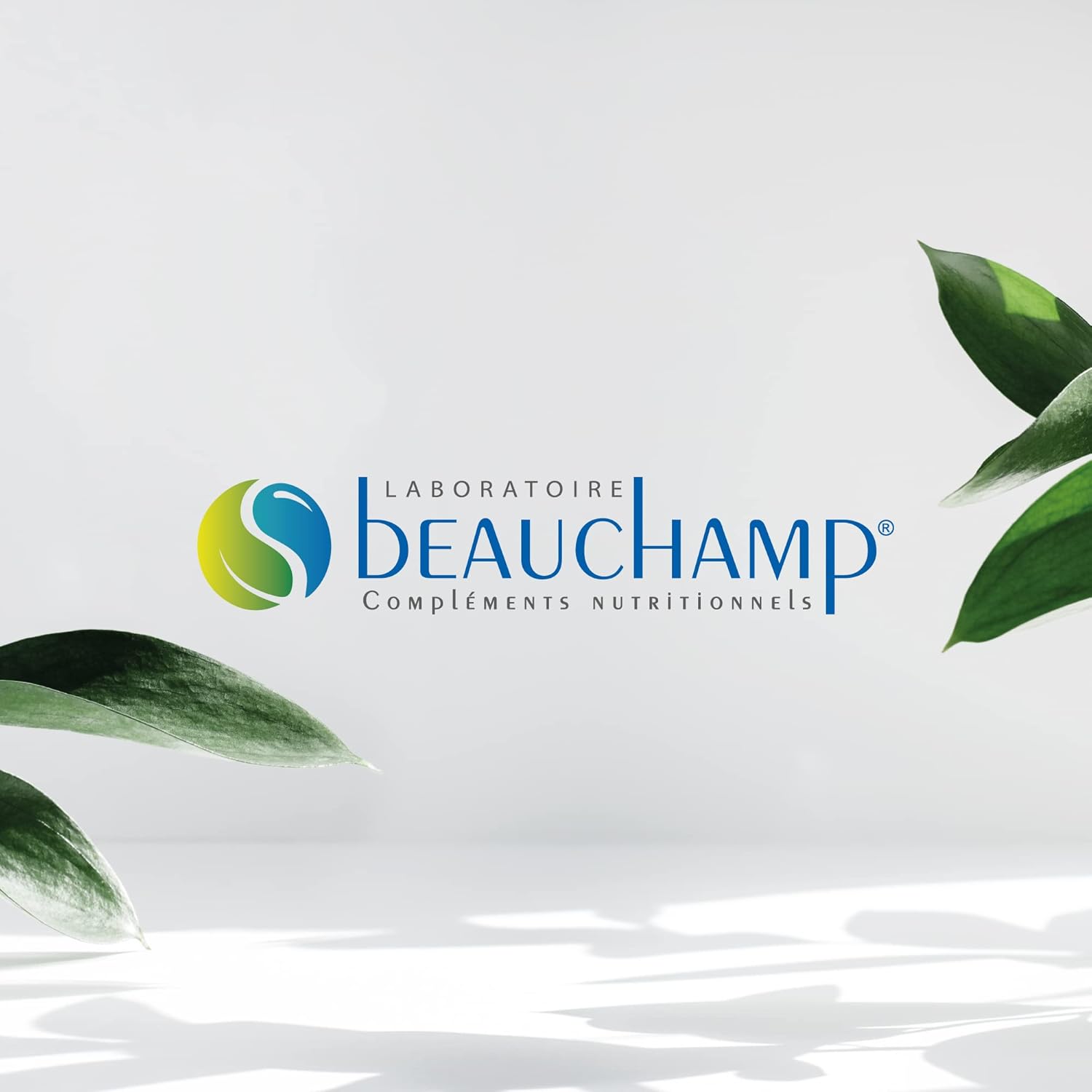 Dietary supplement CHLORELLE - 180 tablets - Detox, Vitality, Energy - Developed in France - Image 6