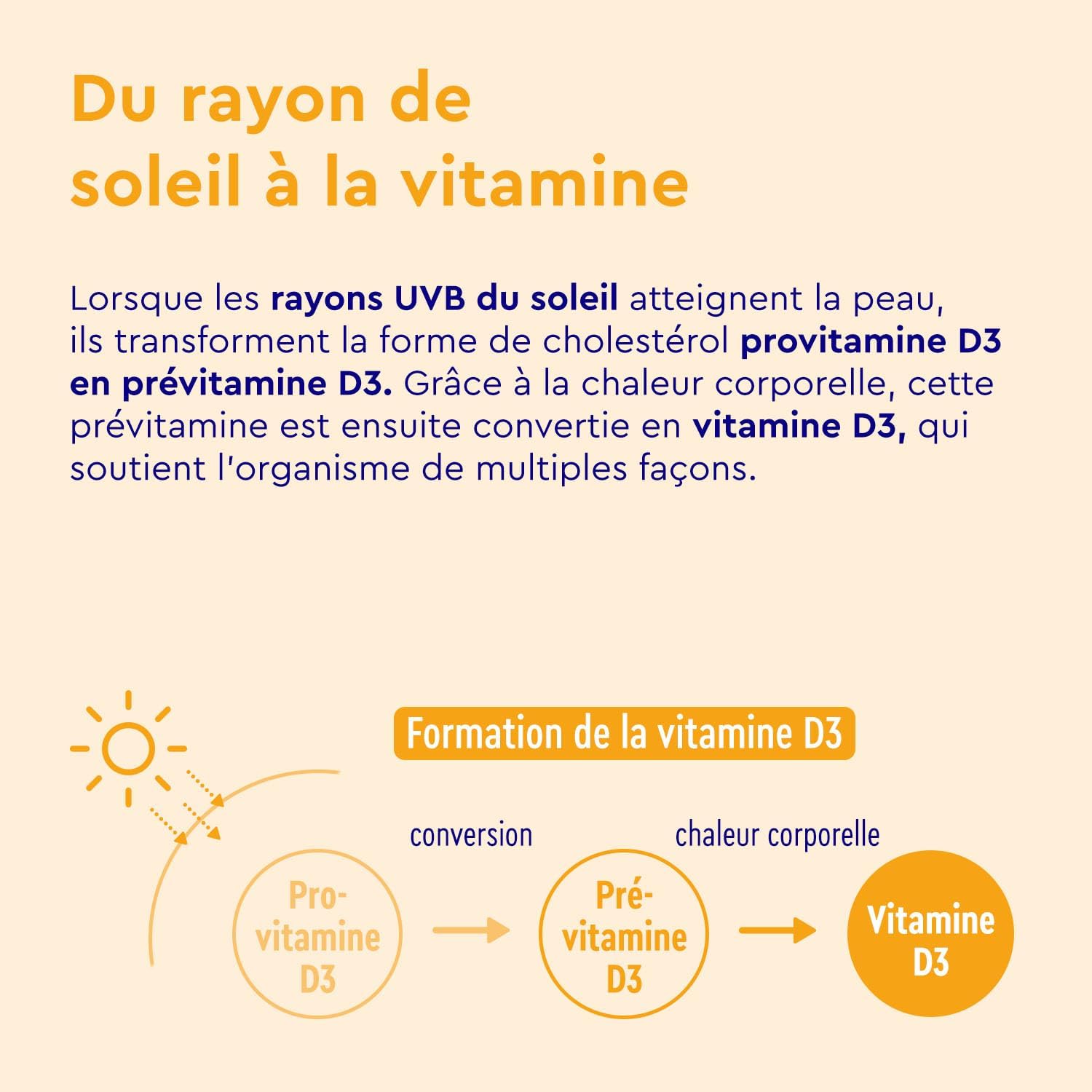 Vitamin D3 2000 IU, 400 Tablets, 100% Pure Cholecalciferol, 1 Tablet per Day, High Dosed Vitamin D, One Year Cure, Supports Bone, Muscle and Teeth Health*, No Additives - Image 8