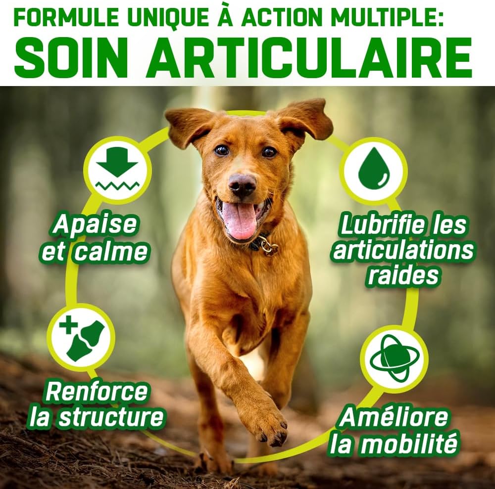 Hip Supplement + Joint Care Joint Care Senior Dog | 150 Chicken Flavour Bites | Glucosamine, Chondroitin, Green Mussel, Hemp Oil, MSM, Hyaluronic Acid, Manganese Vitamins - Image 4
