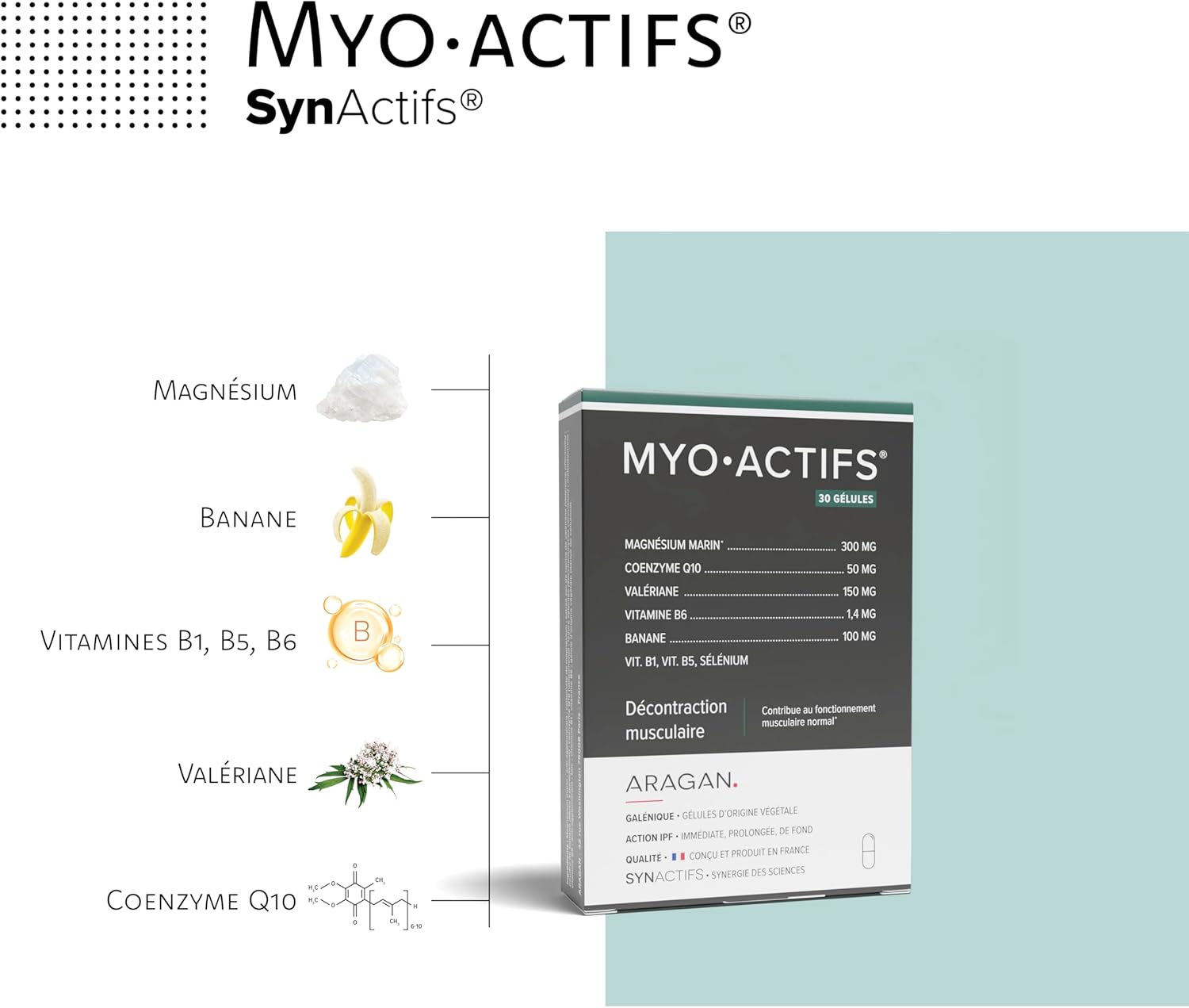 Myoactif - Muscle Relaxing Dietary Supplement - Marine Magnesium, Coenzyme Q10, Valerian, Vitamin B - Aragan - 30 Capsules - Image 3