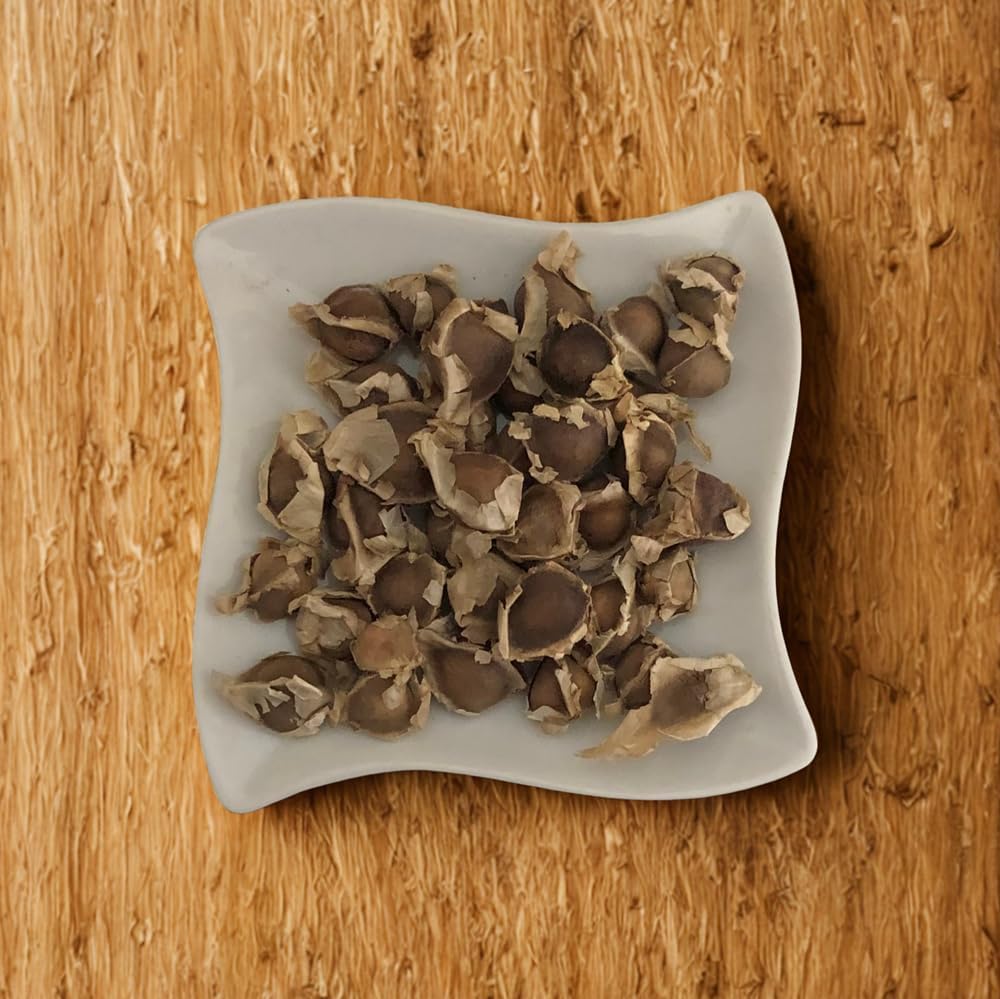 Moringa Seeds - Dried Whole Seeds - Natural Ingredient for Brew & Traditional Cooking - 50g - Image 3