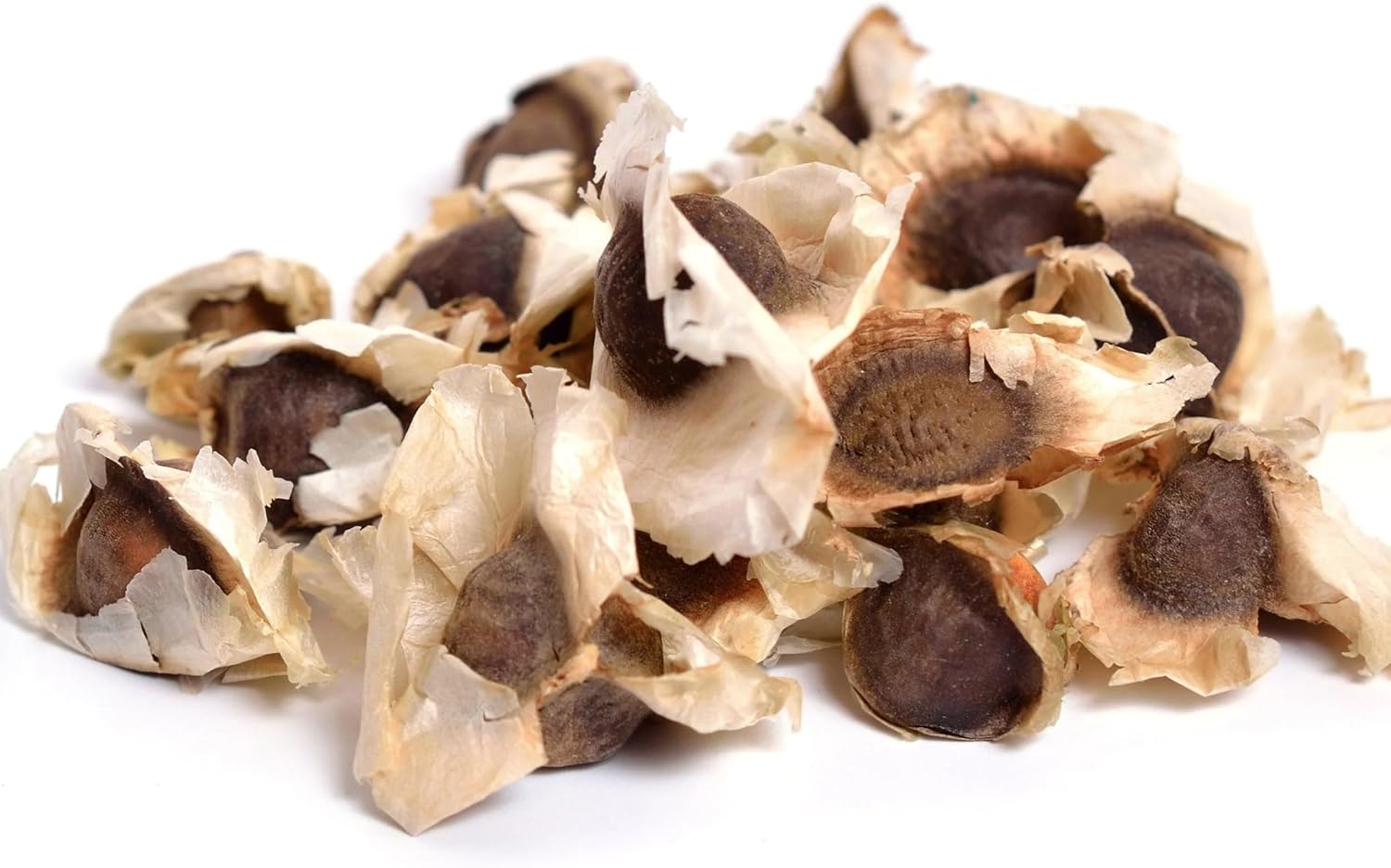 Moringa Seeds - Dried Whole Seeds - Natural Ingredient for Brew & Traditional Cooking - 50g - Image 5