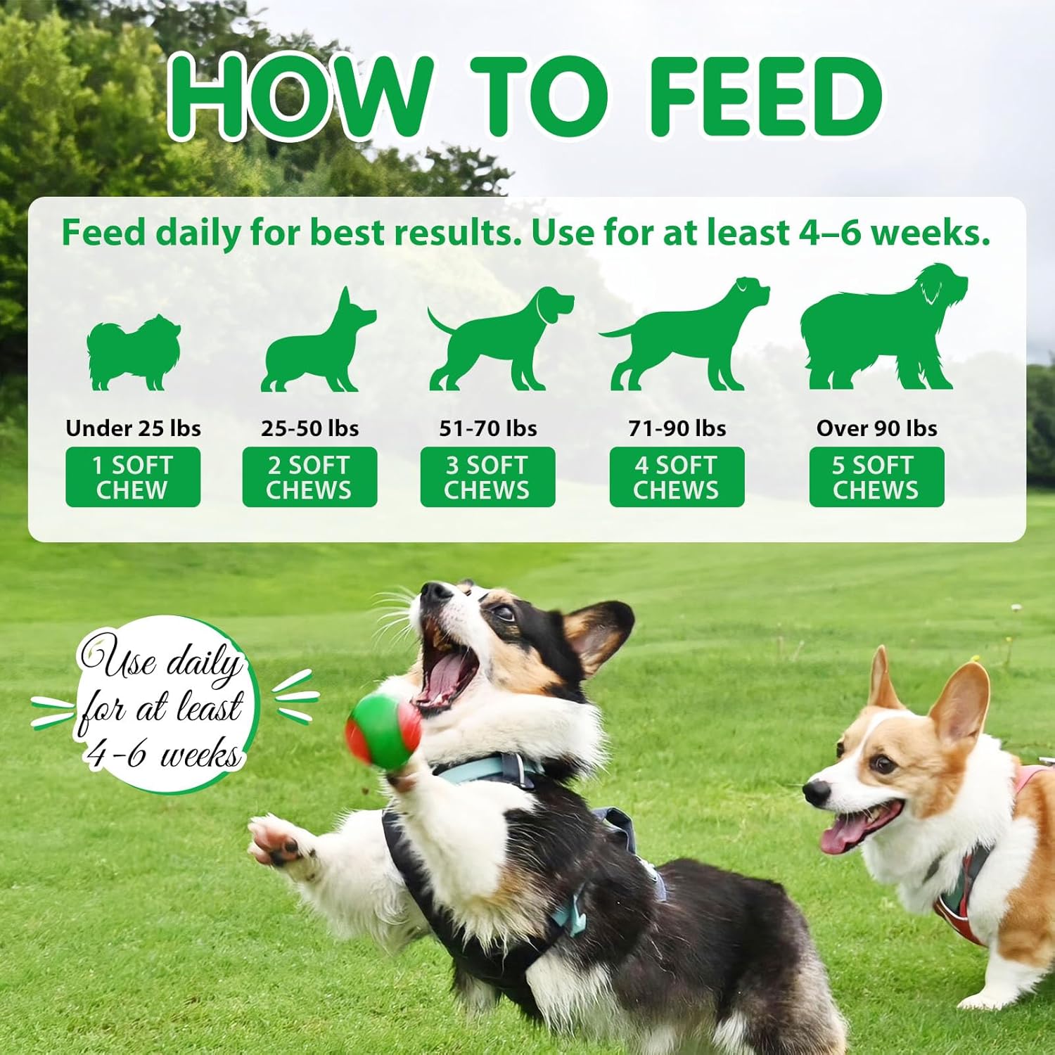 Dog Probiotic Tablets for Chewing, Prebiotics and Digestive Prebiotics for All Dogs, Stomach Pain, Stools and Bloating, Immunity, Itching, Diarrhea Duck Flavour (300g, 120tablets) - Image 4