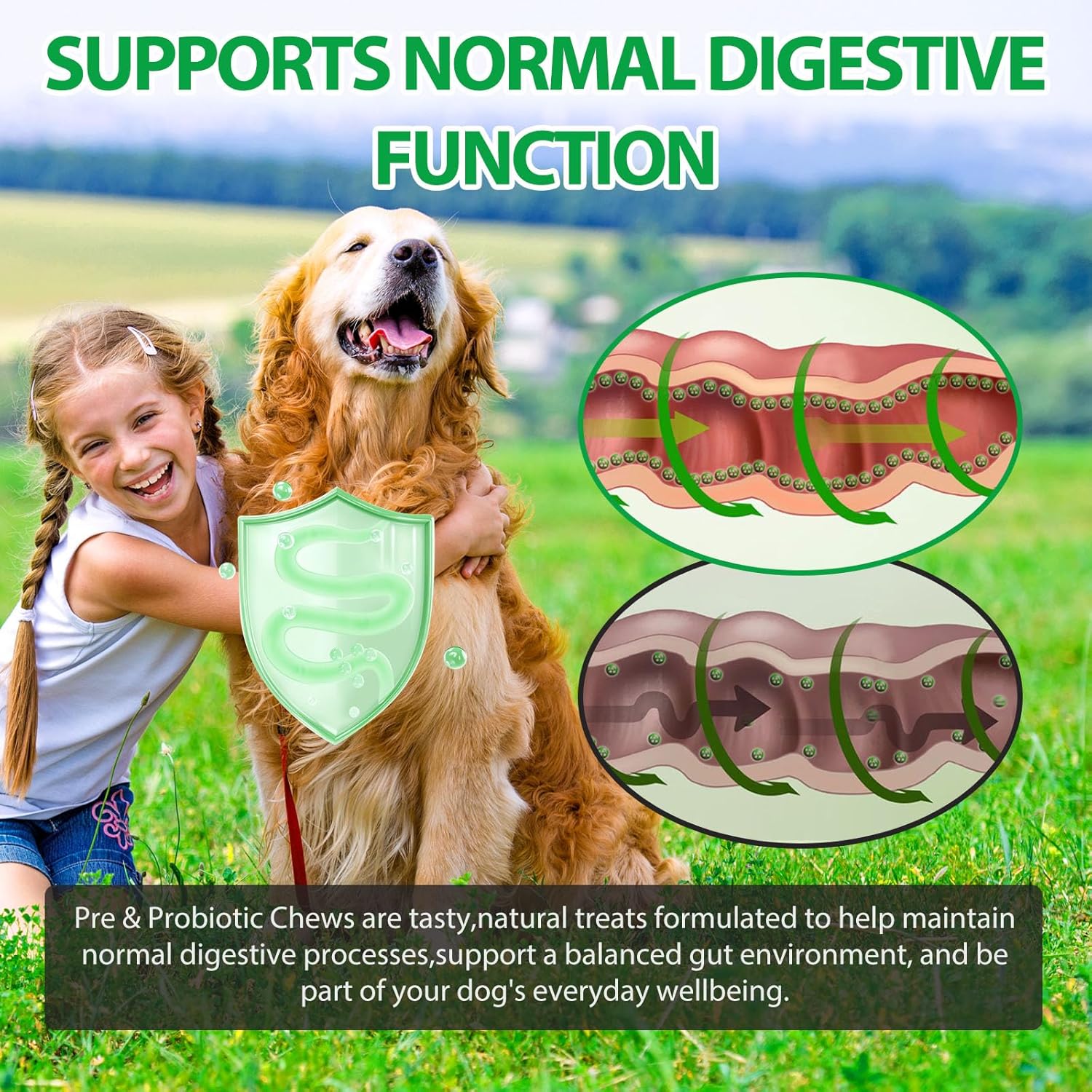 Dog Probiotic Tablets for Chewing, Prebiotics and Digestive Prebiotics for All Dogs, Stomach Pain, Stools and Bloating, Immunity, Itching, Diarrhea Duck Flavour (300g, 120tablets) - Image 5