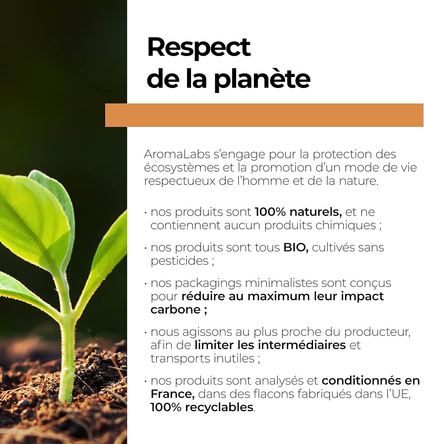 Organic Sweet Almond (Prunus dulcis) - 100 ml - Virgin and AB Certified Vegetable Oil - Aroma Labs - Made in France - Image 8