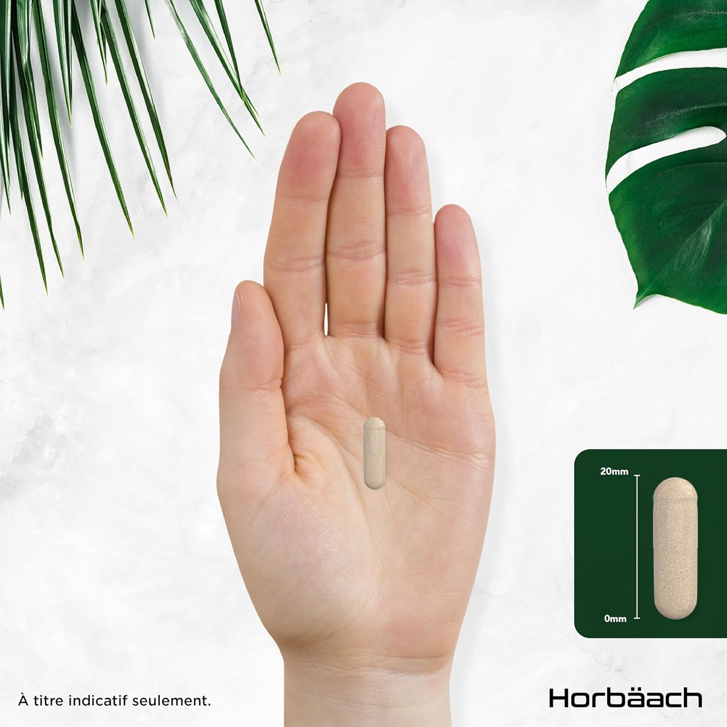 Psyllium Blond Capsules 1400 mg | 180 Vegan Capsules | Husk Fiber High Dosage | Natural Prebiotic | Horbaach - Image 11