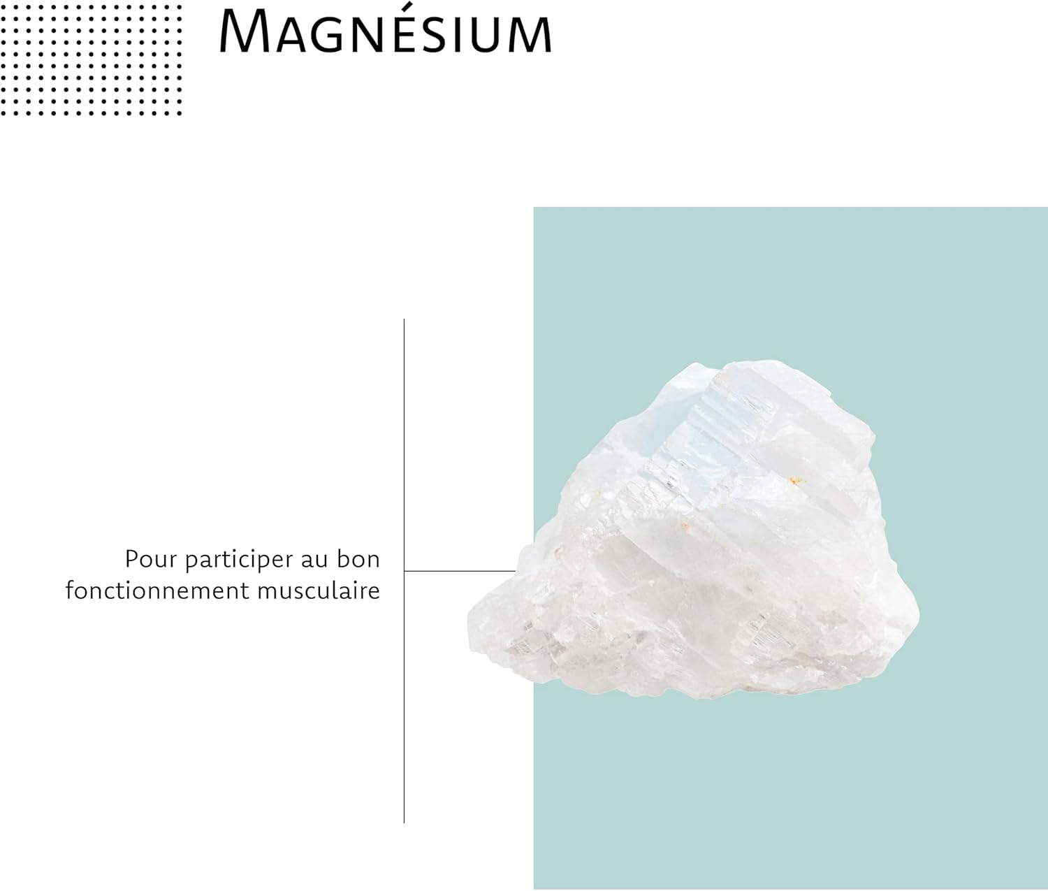 ARAGAN - Synactives Pack of 2 Myoactives - Dietary Supplement for Muscle Relaxation - Marine Magnesium, Coenzyme Q10, Valerian, Vitamins - 60 capsules - 1 month taken - Made in France - Image 5