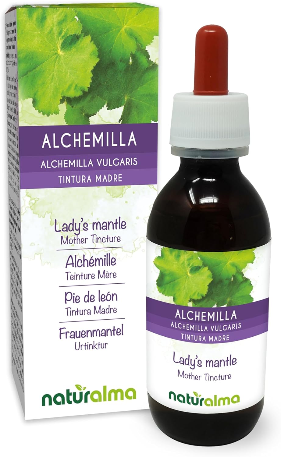 Common ladybird (Alchemilla vulgaris) herb Naturalma alcohol free mother tincture - liquid extract drops 120 ml - dietary supplement - vegan or vegan - Image 2