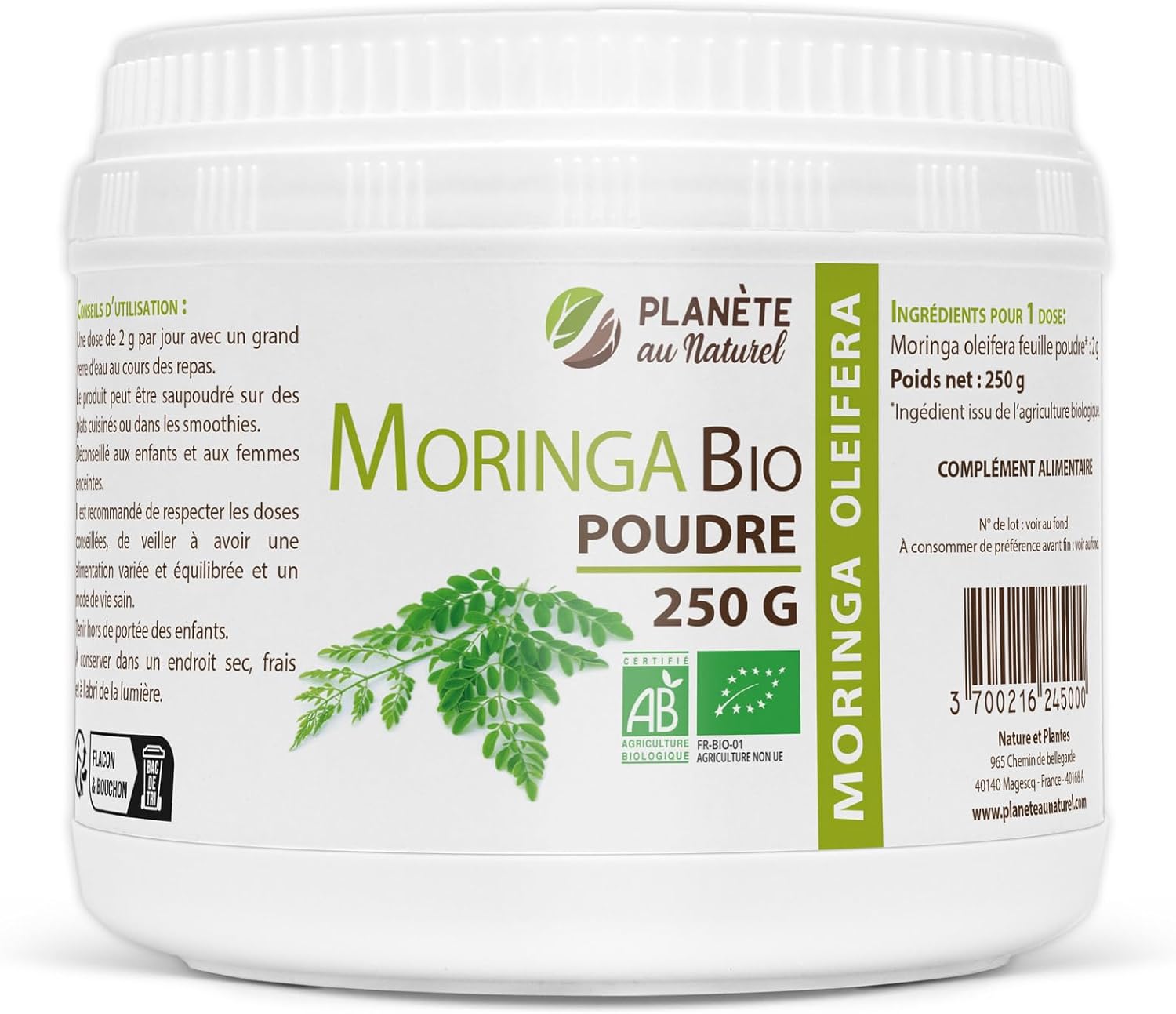 Moringa Oleifera Organic - Powder 250g - Image 2