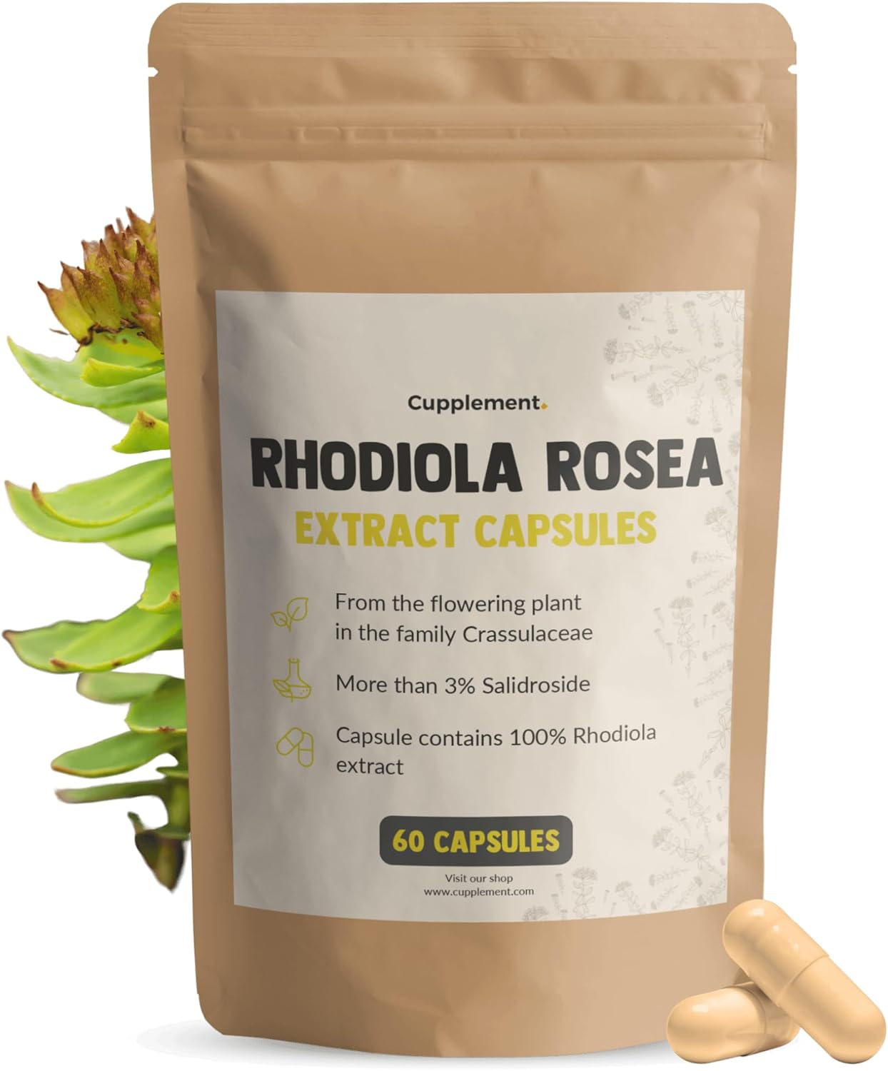 Rhodiola Rosea Capsules 60 Pcs 3% Extract 500 MG per Capsule - No Powder - Supplement - Superfood - Nootropics - 3% Rosavins - Adaptogenic - Natural - Vegan - Roseroot - Image 2