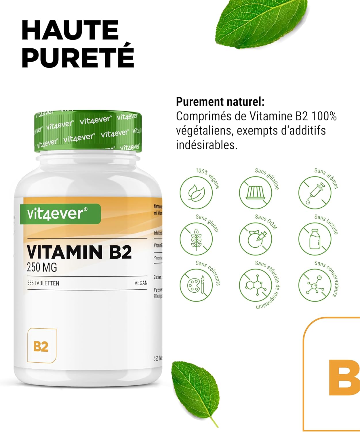 Vitamin B2 (Riboflavin) - 250 mg - 365 tablets - High dose - No unwanted additives - Vegan - Image 4
