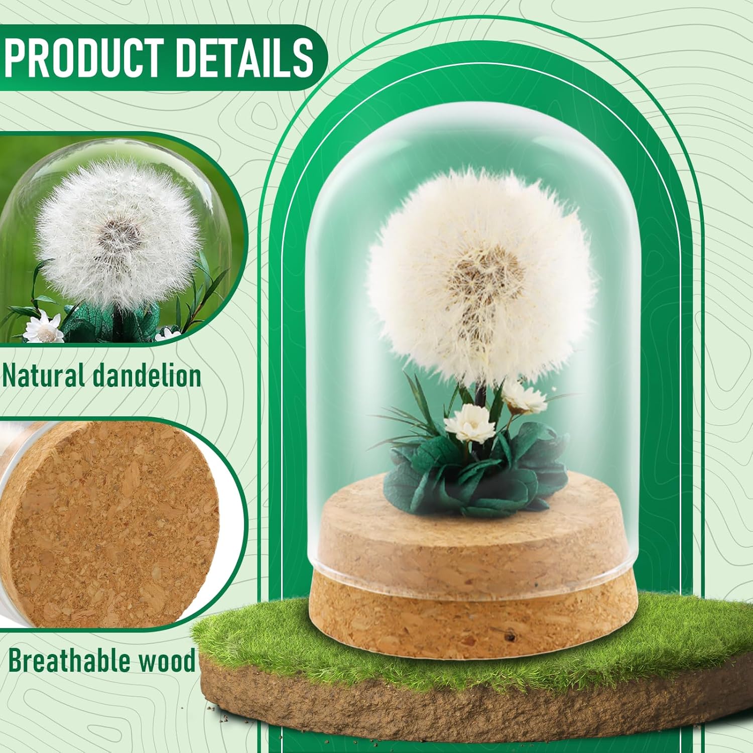 Dandelion in a Jar – True Dandelion, Preserved for Life, Handmade – Gift Idea for Women, Friend – Gift for Birthday, Wedding, Christmas, Glass Decoration, Lucky Charm - Image 3