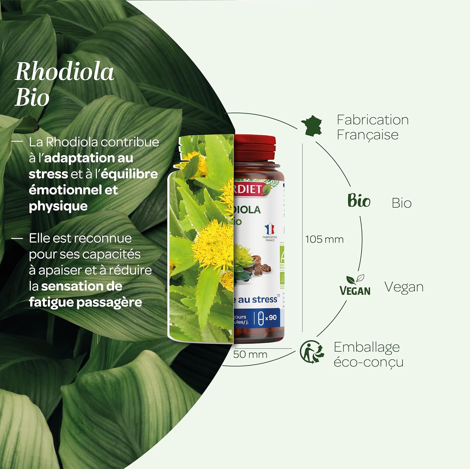 SUPERDIET - Organic RHODIOLA - Stress resistance, Emotional balance - Herbal medicine - Made in France - 90 Capsules - Image 4