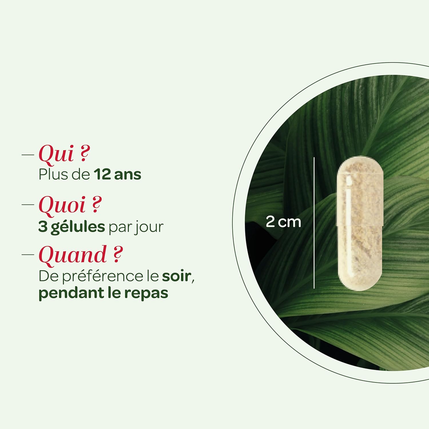 SUPERDIET - Organic RHODIOLA - Stress resistance, Emotional balance - Herbal medicine - Made in France - 90 Capsules - Image 5