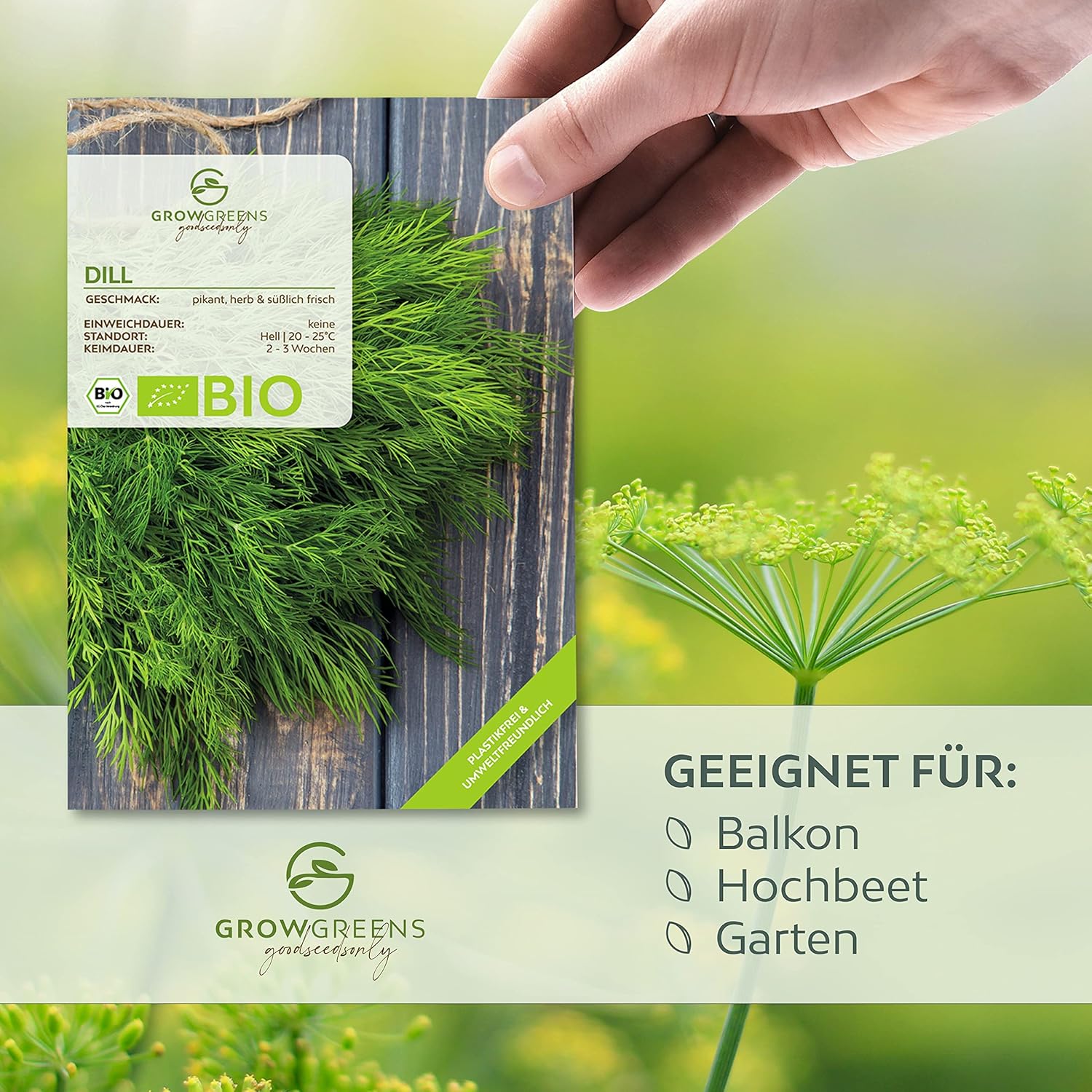 BIO Dill Seeds - Organic Growing Herb Seeds Ideal for the Aromatic Garden - Image 3