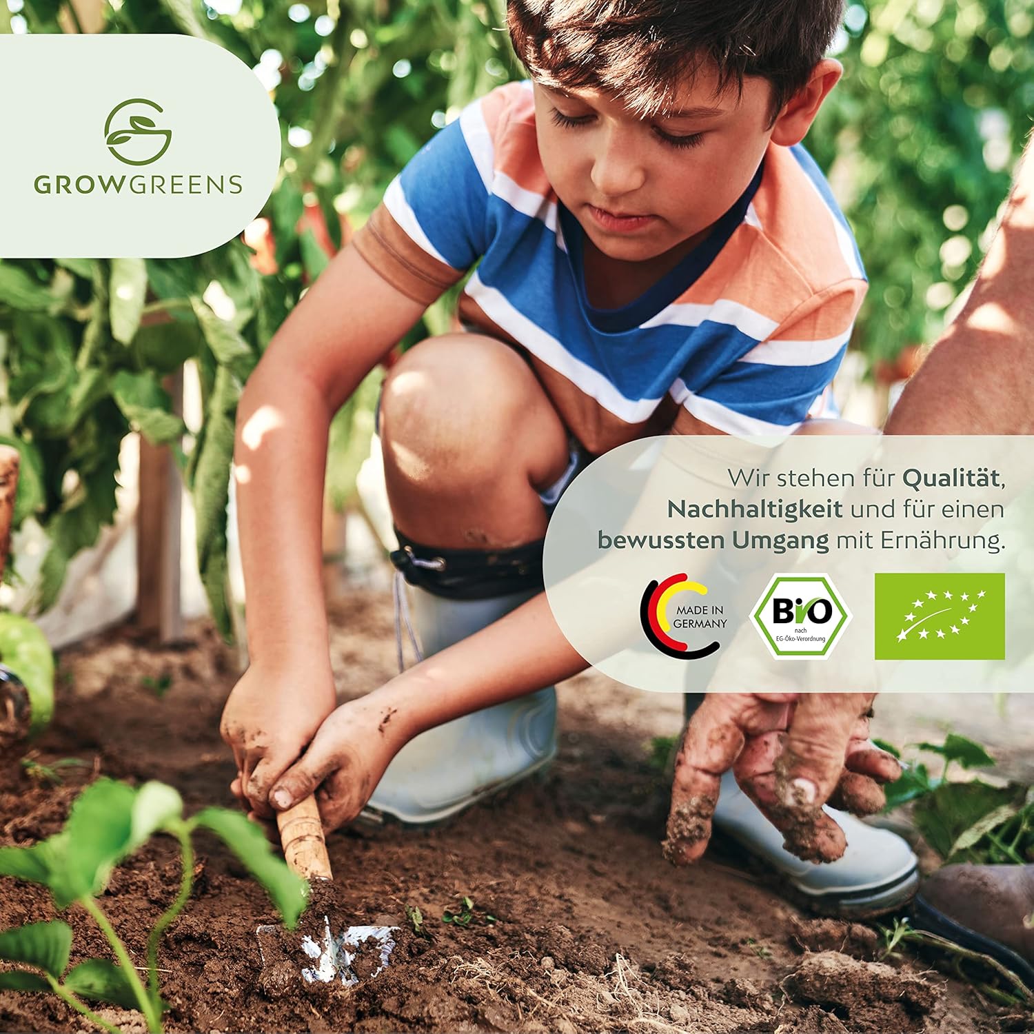 BIO Dill Seeds - Organic Growing Herb Seeds Ideal for the Aromatic Garden - Image 9