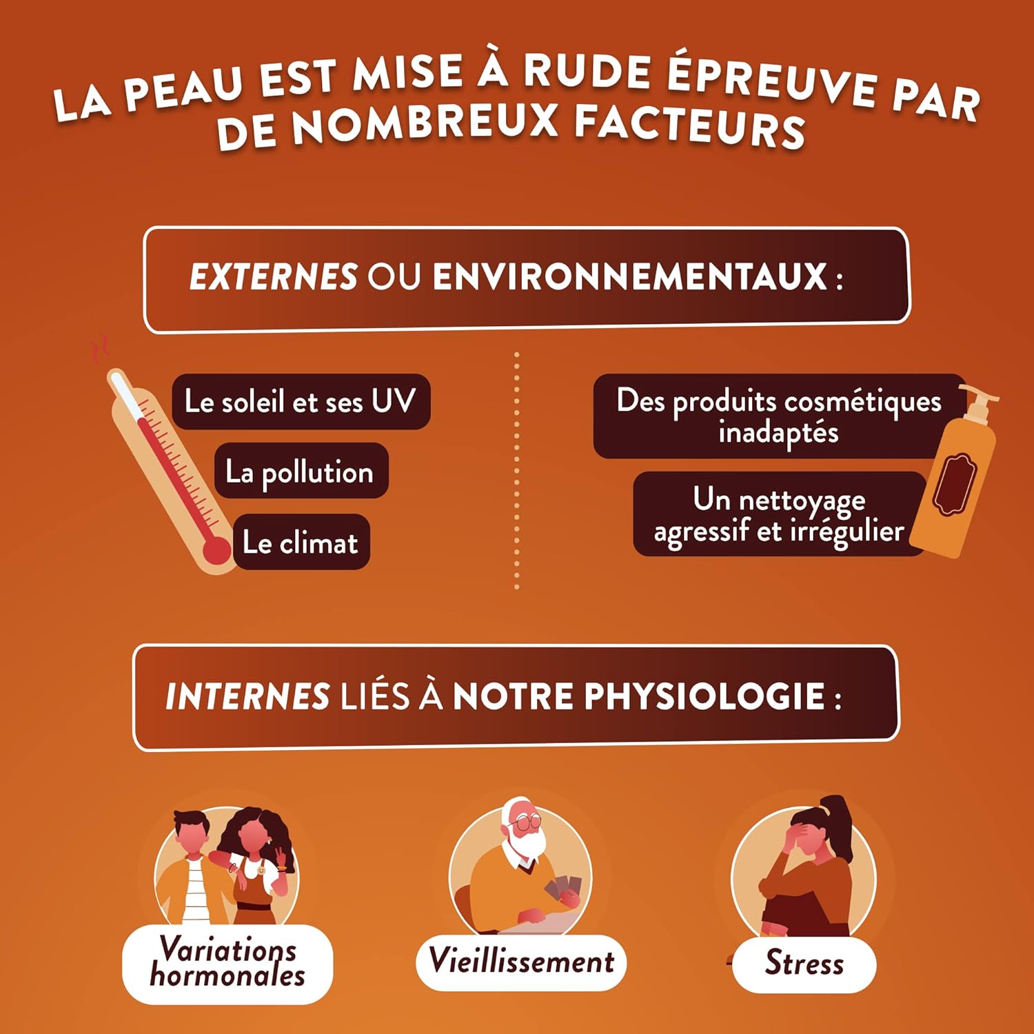 NUTRI & CO Probiotic for Clean Skin - Target Imperfections & Regulates Sebum Production - Zinc Bisglycinate + Nettle + Patented Probiotics - Microbiote-Peau Axis - 60 Vegan Capsules Made in France - Image 4