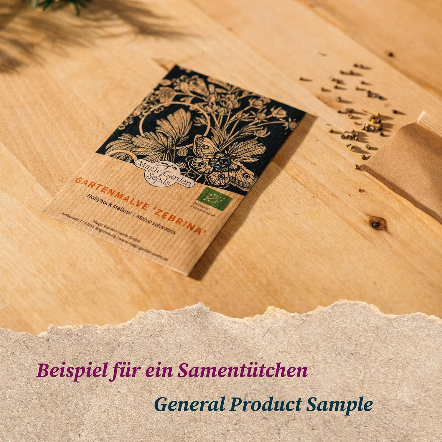 Stonecrop (Rhodiola rosea) approx. 100 seeds - Image 4