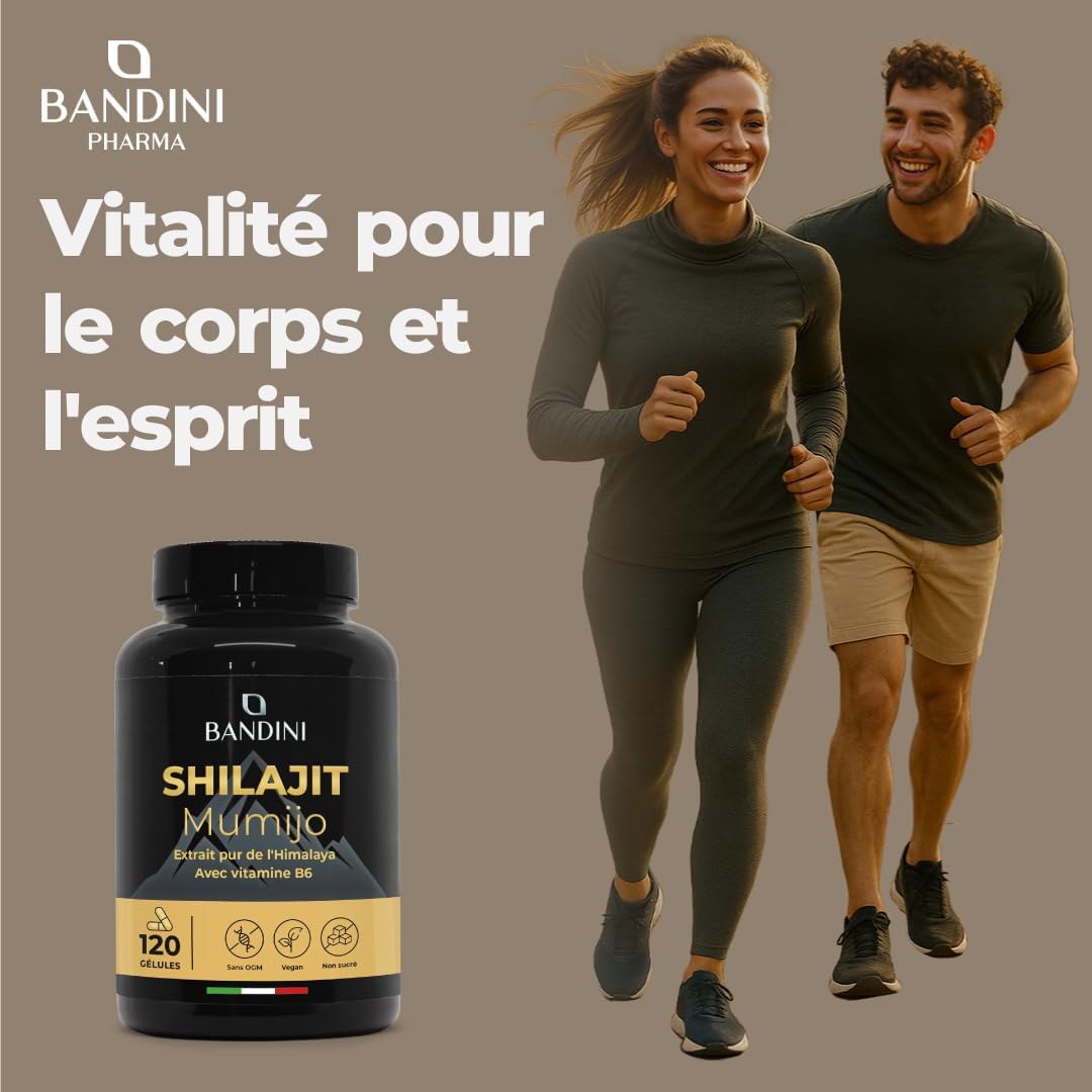 Bandini Mumijo Shilajit Pure 40.000mg 120 capsules High Dosed, the original from the Himalayas, with 80% fulvic acid and vitamin B6, rich in 85 minerals and trace elements, vegan, No Additives - Image 3