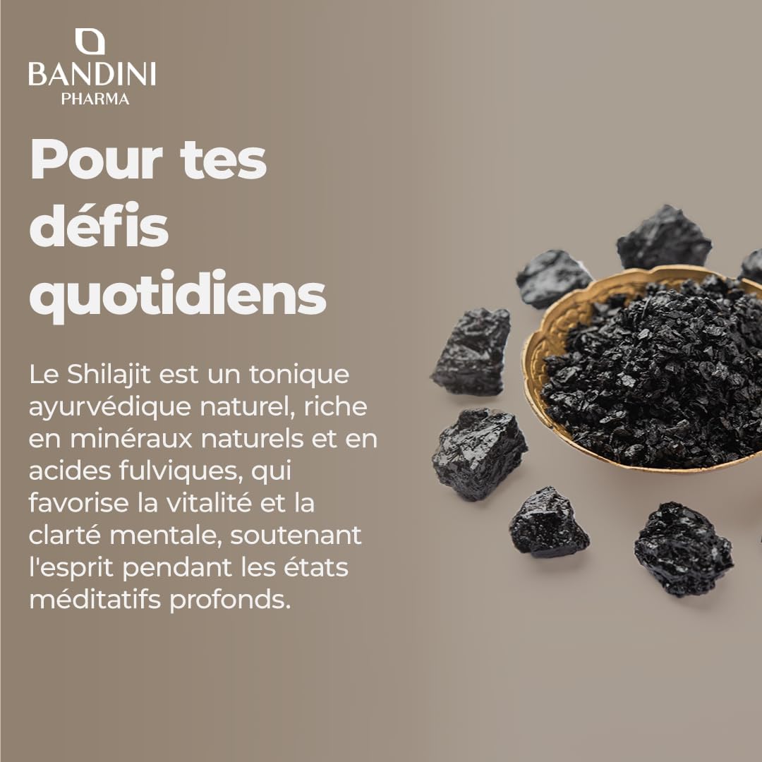 Bandini Mumijo Shilajit Pure 40.000mg 120 capsules High Dosed, the original from the Himalayas, with 80% fulvic acid and vitamin B6, rich in 85 minerals and trace elements, vegan, No Additives - Image 4
